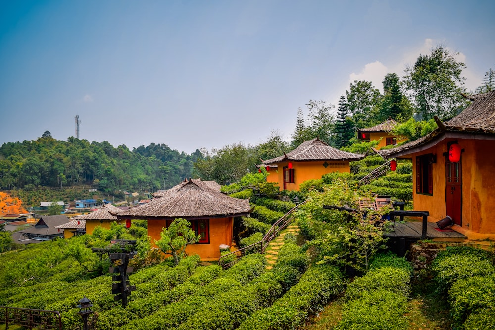 무성한 녹색 언덕 위에 앉아있는 오렌지 집들