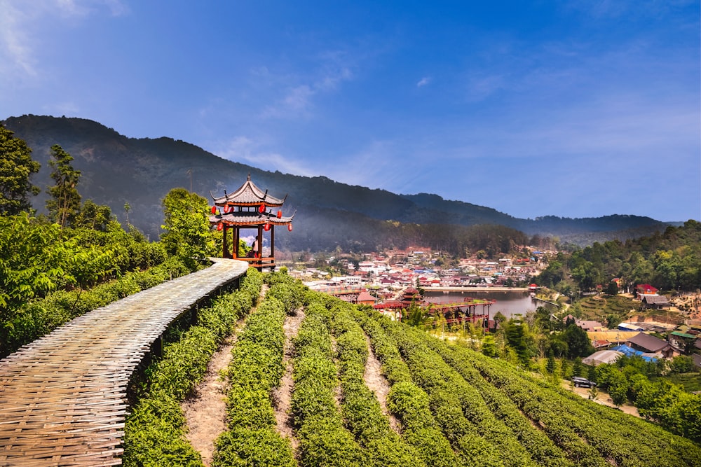 a scenic view of a tea plantation with a pagoda in the middle
