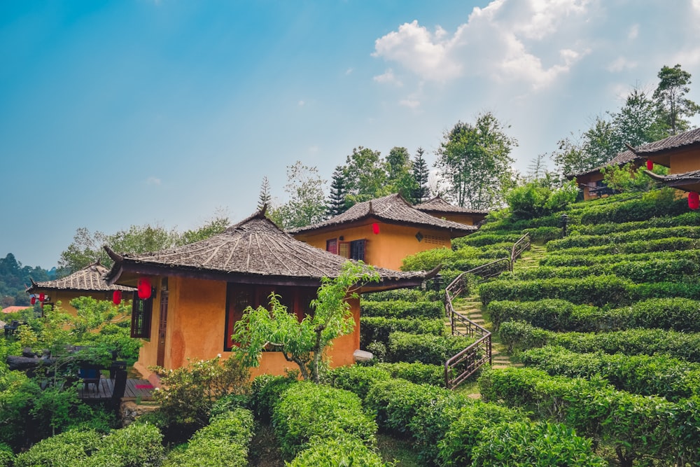 a row of houses sitting on top of a lush green hillside