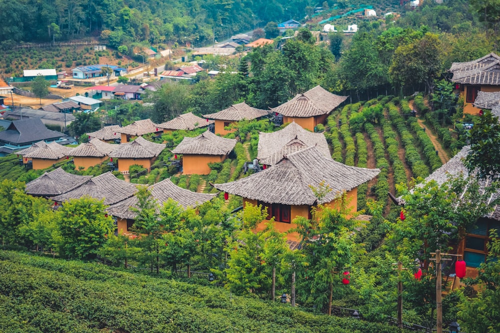 a small village with a lot of grass roofs