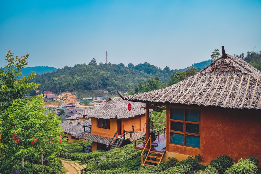 a house with a thatched roof in a tea estate