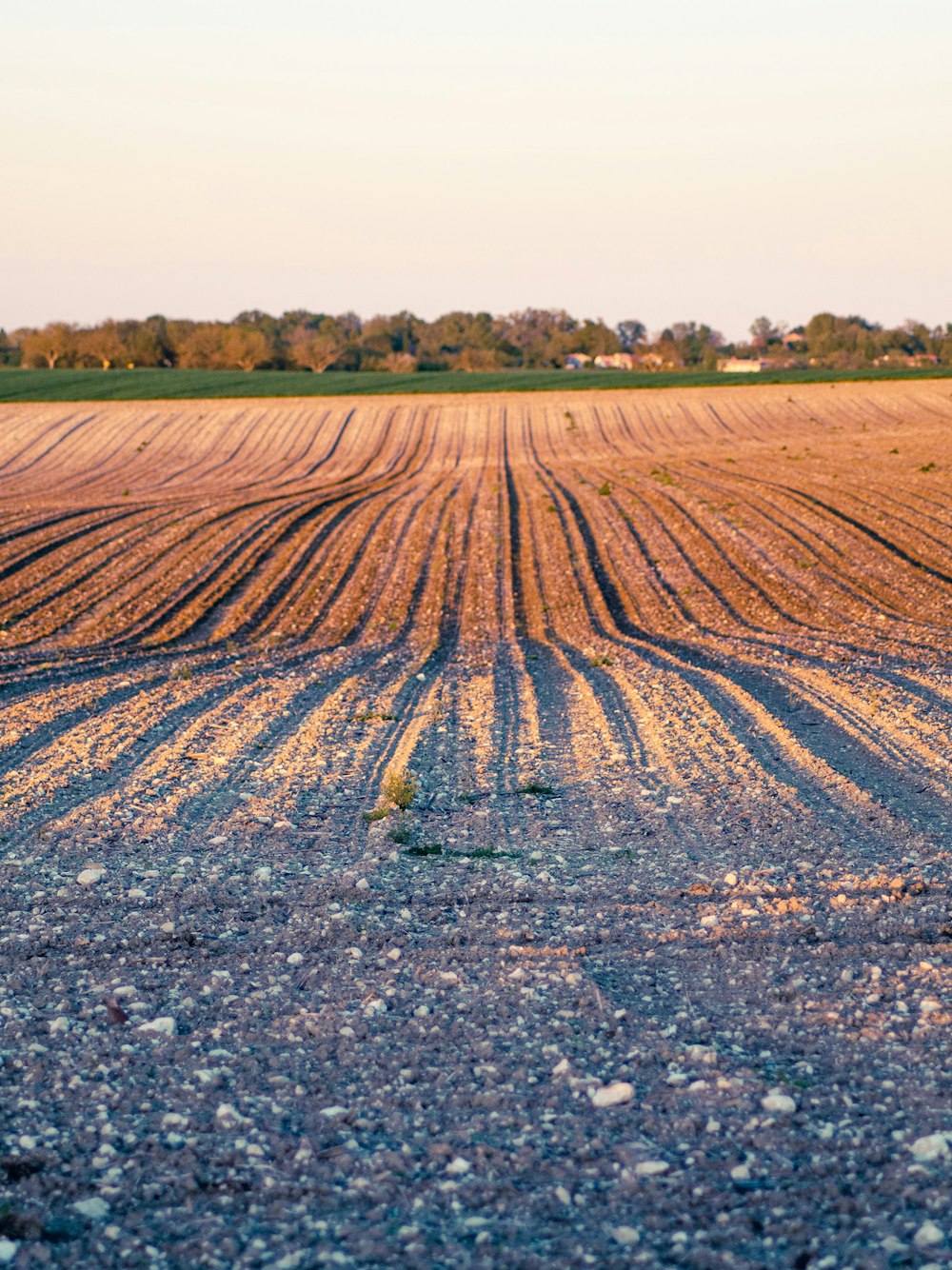 a field with a lot of dirt in the middle of it