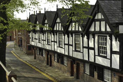 a row of black and white houses next to a tree