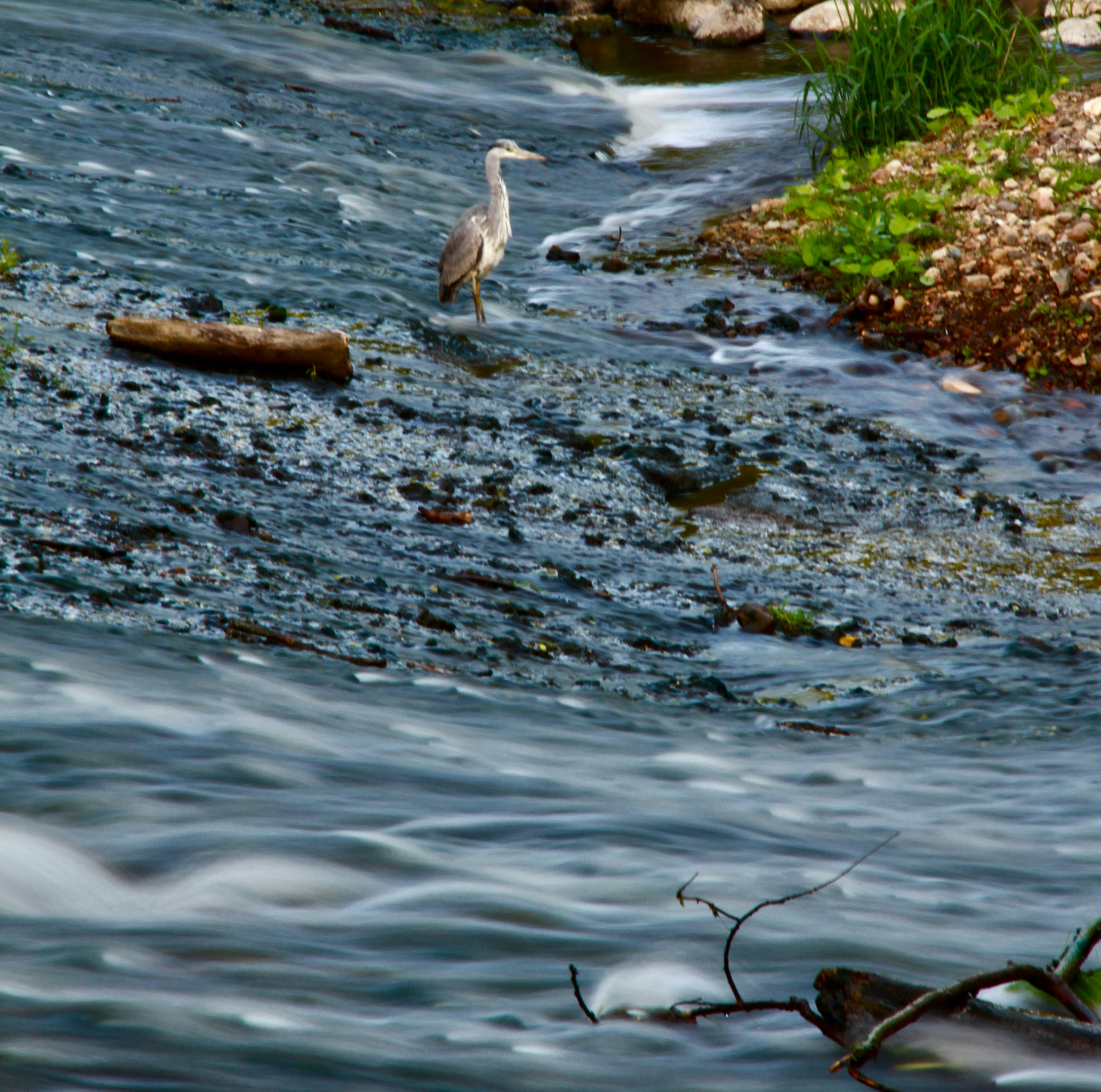 Photo by jamosamos90