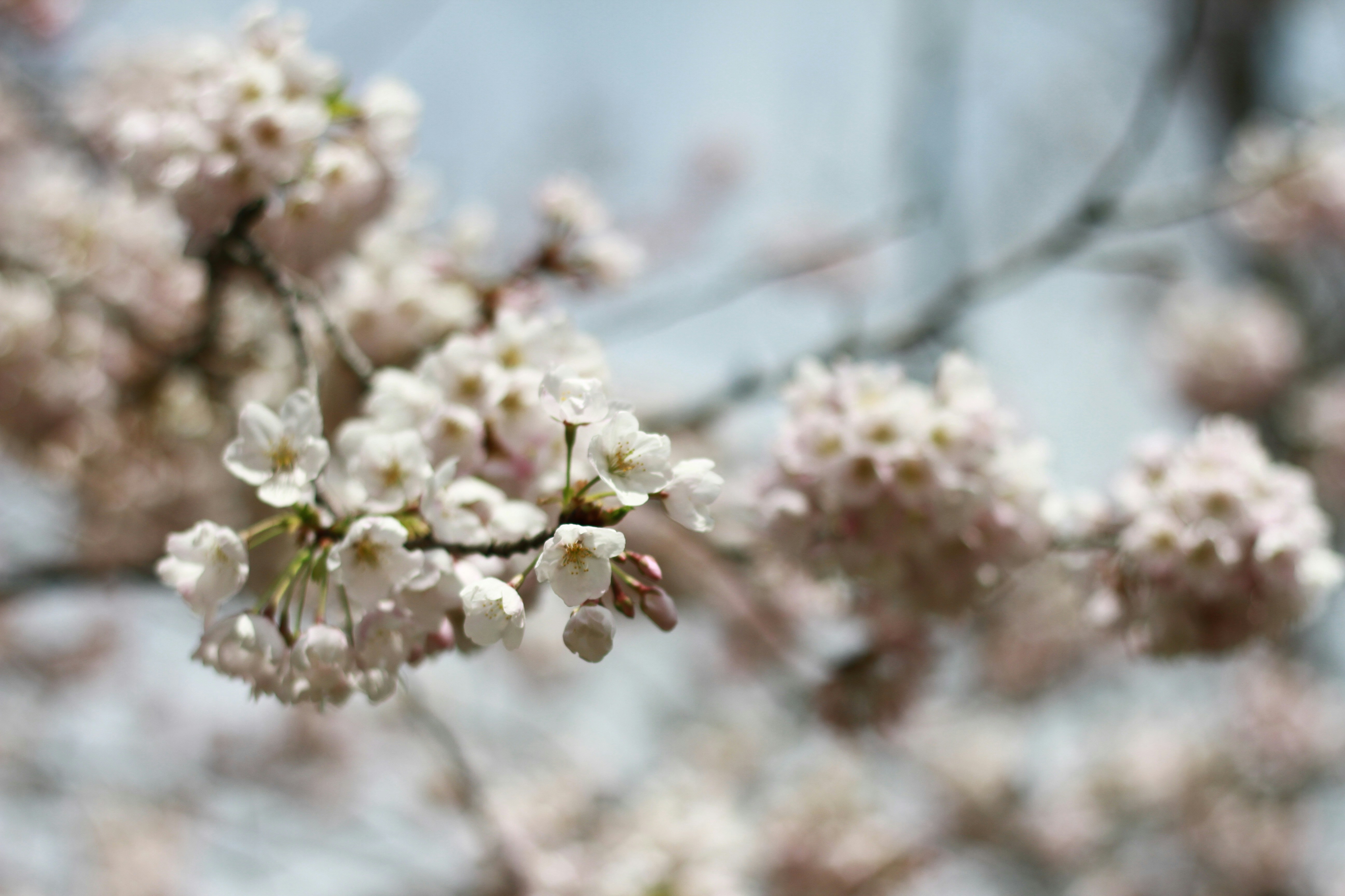 Photo by jamosamos90