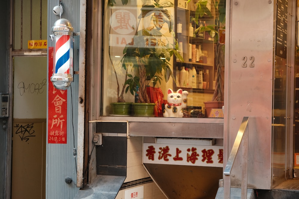 a store front with a cat statue in the window