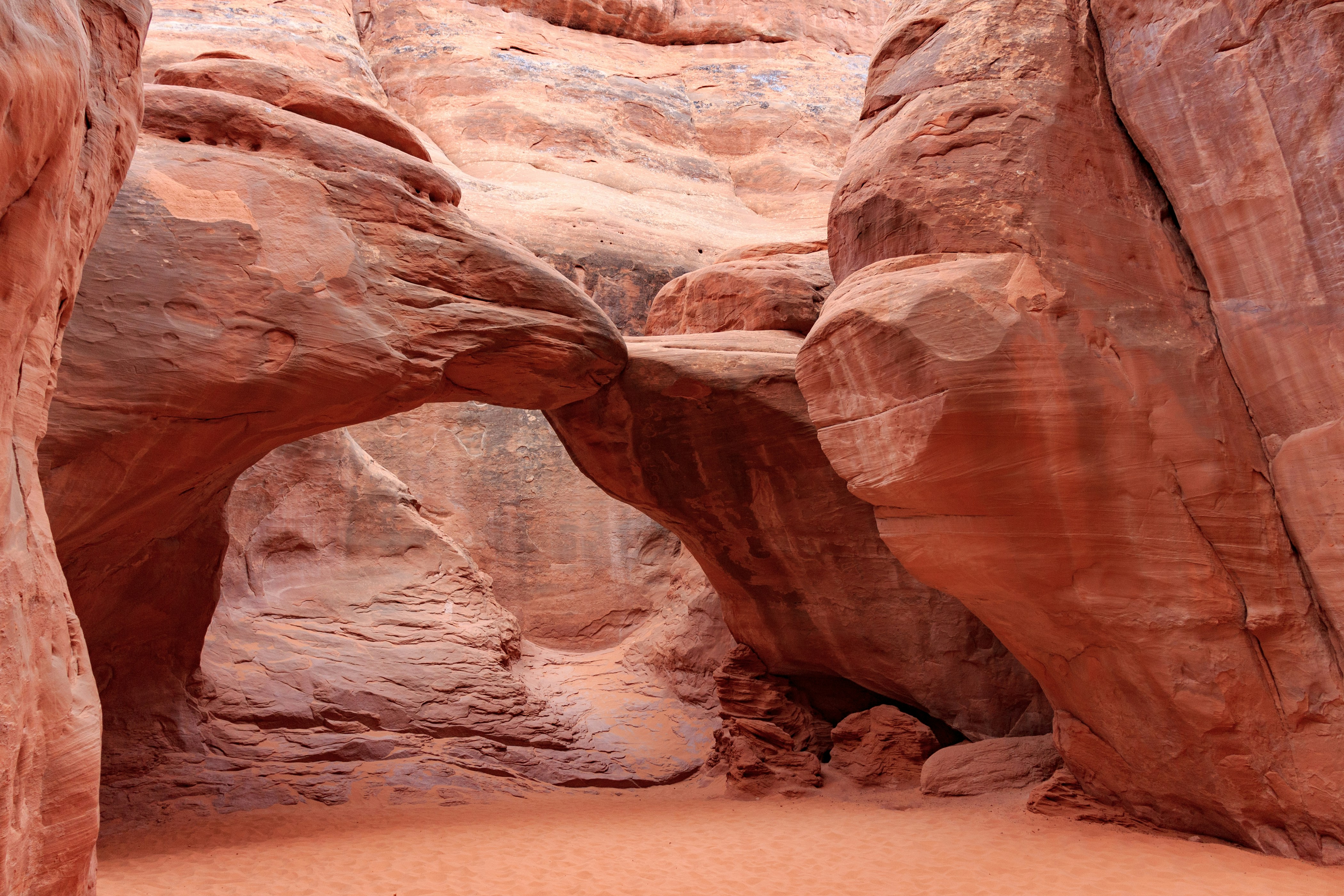 Photo by thirdcoastdad