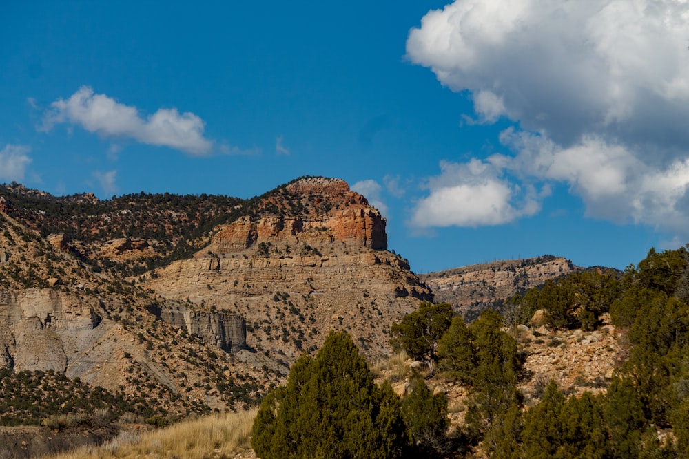 a mountain range with trees in the foreground