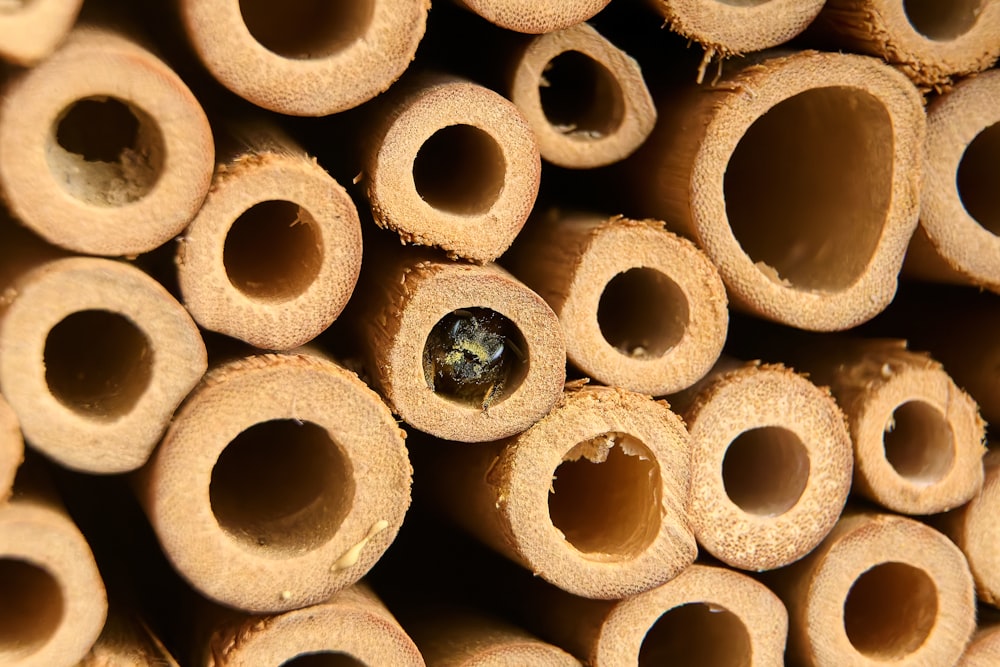 a close up view of a bunch of wood tubes