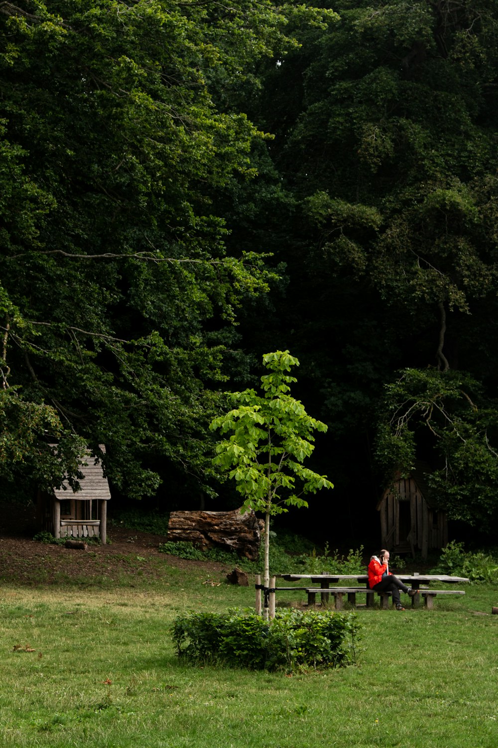 two people sitting at a picnic table in a park