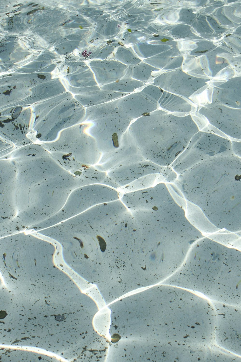 a cell phone laying on top of a sandy beach