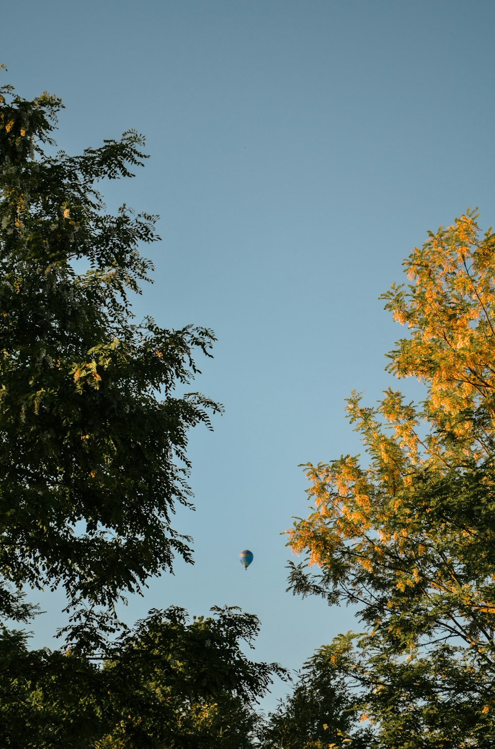 a balloon flying through a blue sky above some trees
