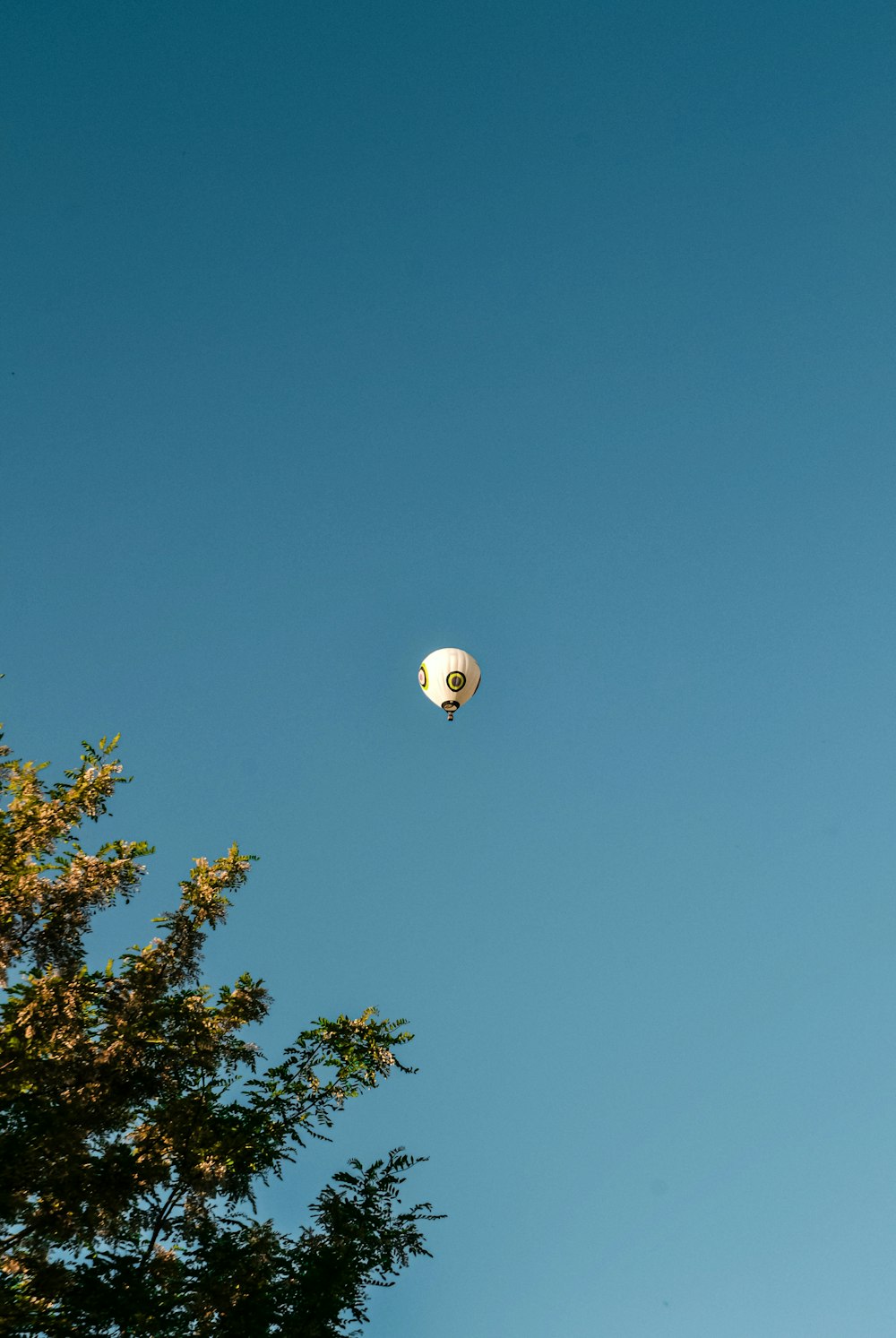 a hot air balloon flying through a blue sky