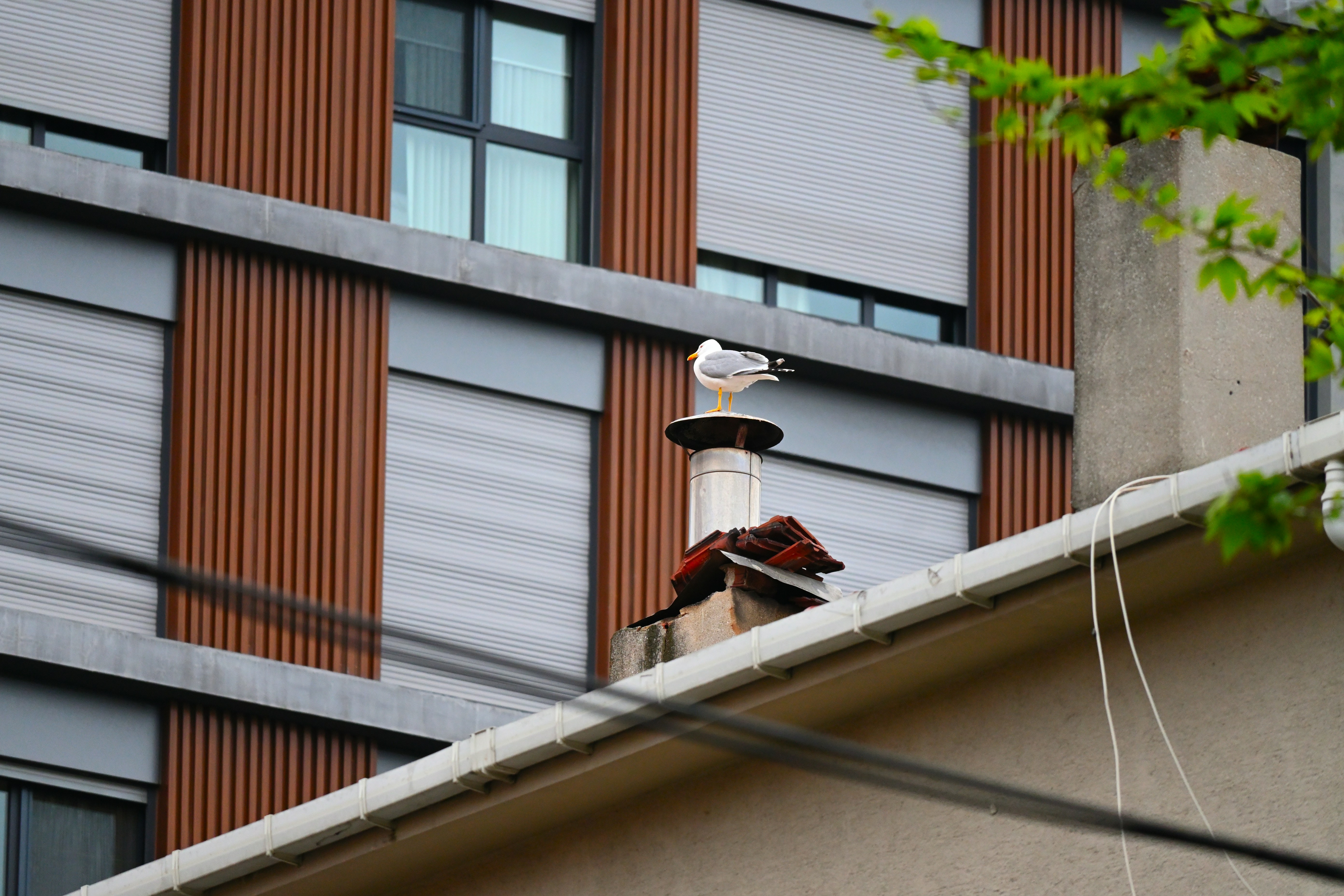 Photo by aminzabardast