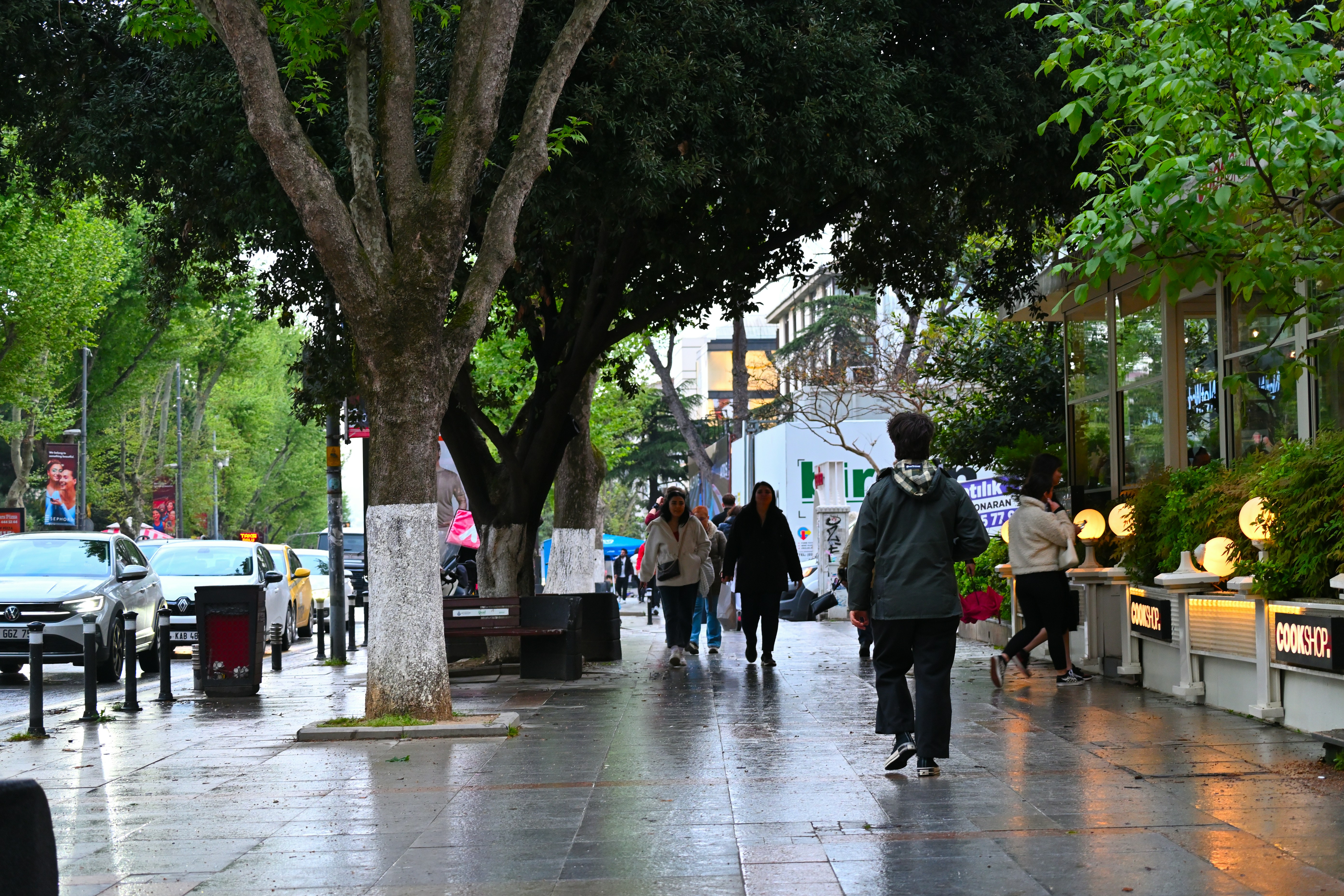 Photo by aminzabardast