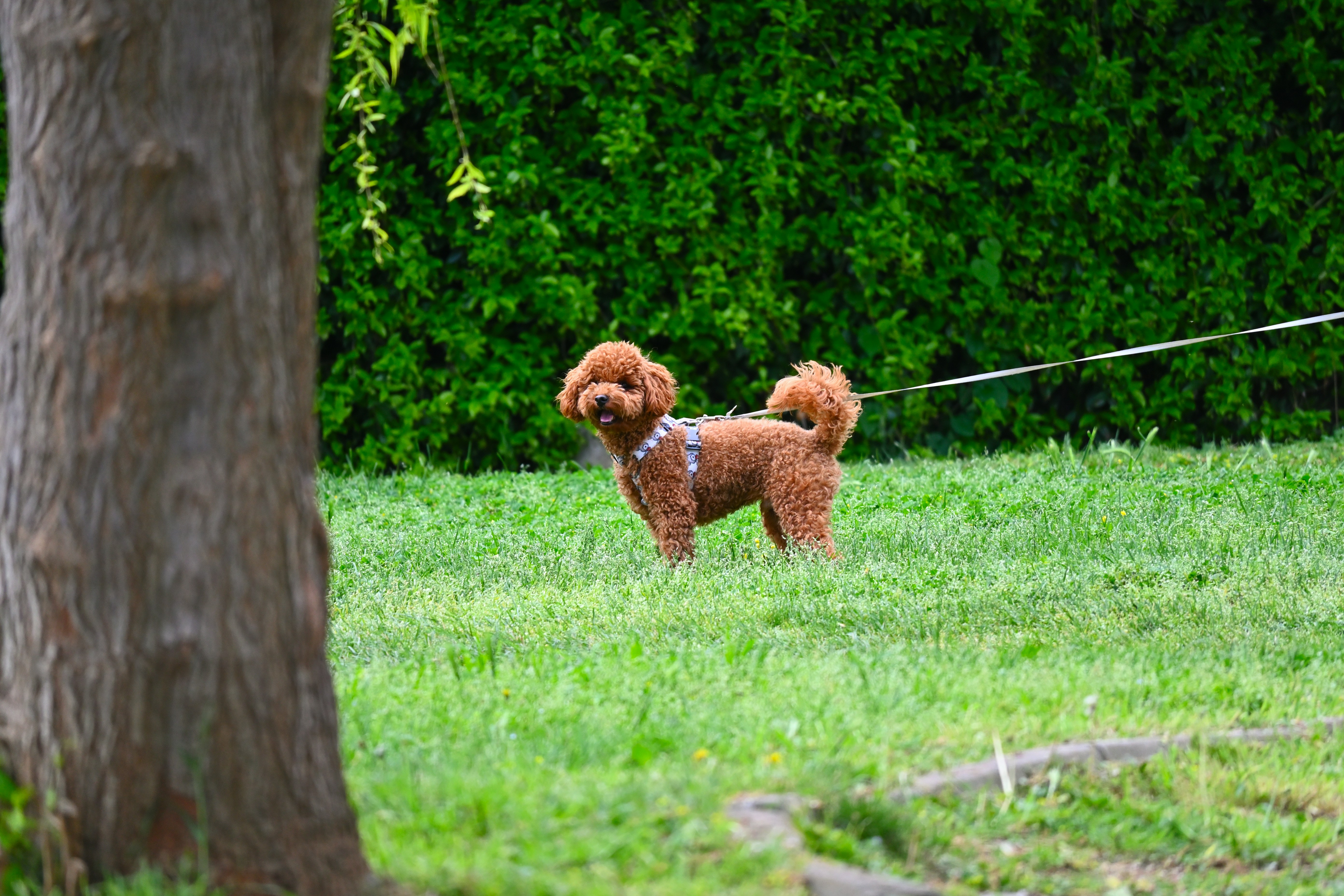 Photo by aminzabardast