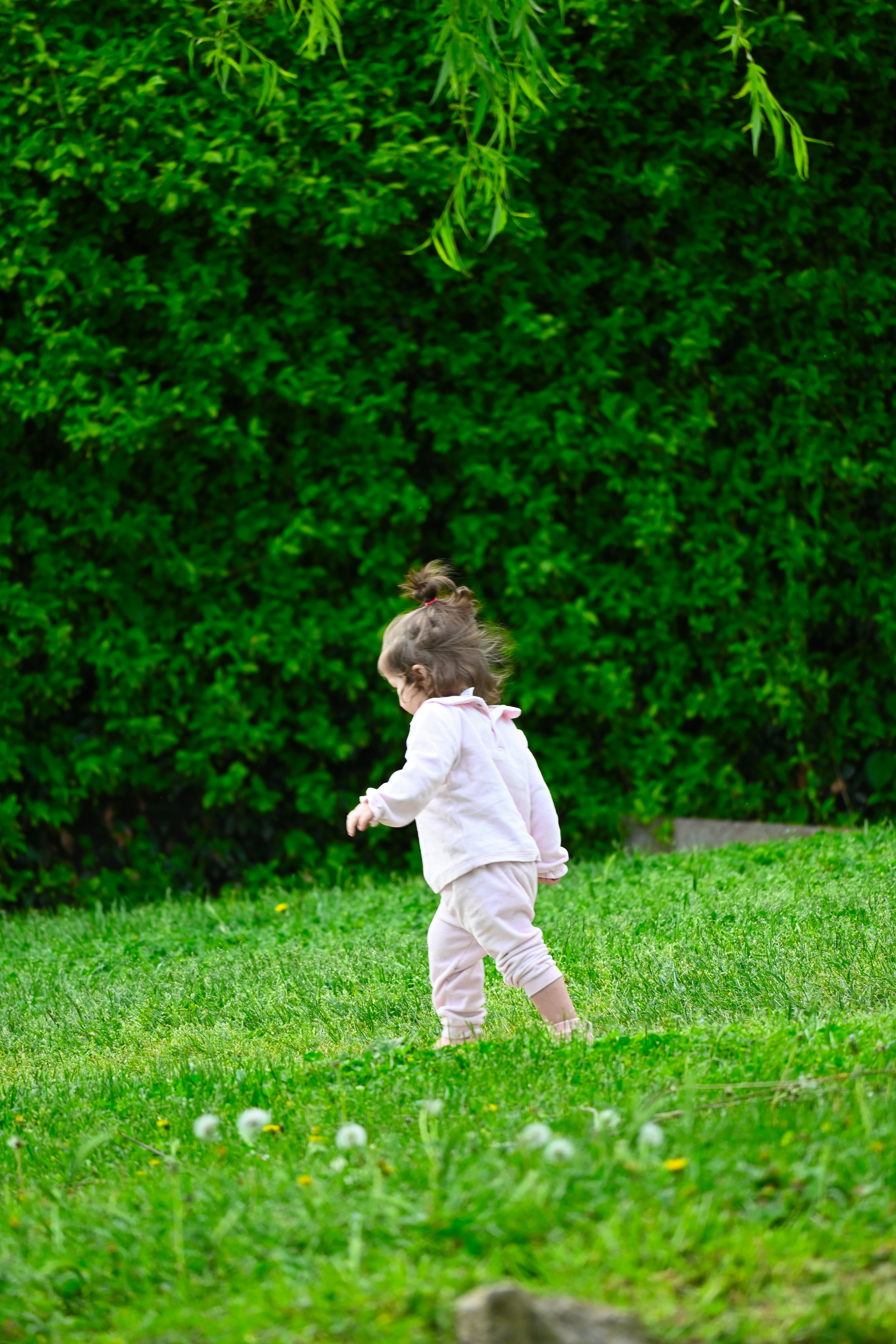 Photo by aminzabardast