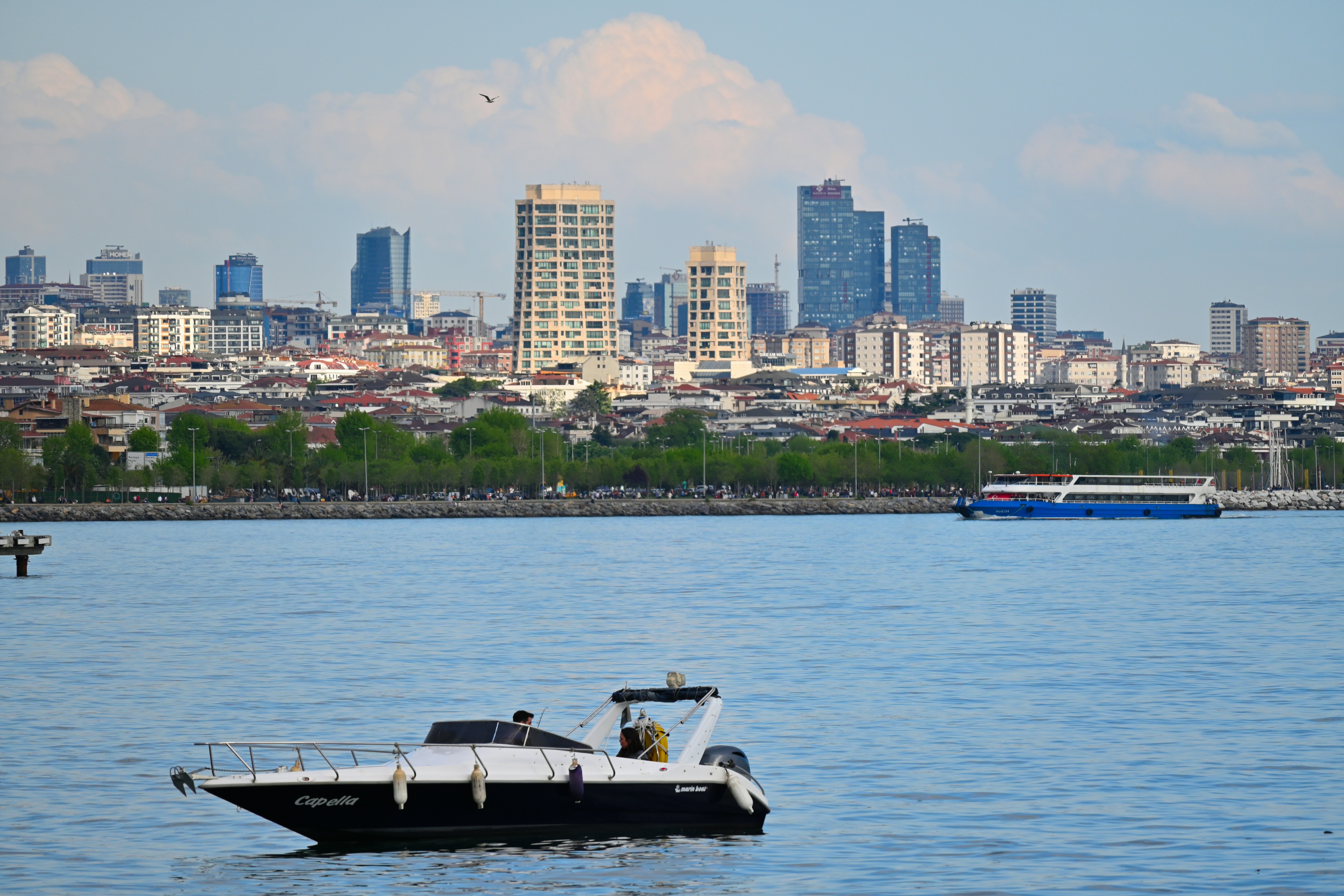 Photo by aminzabardast