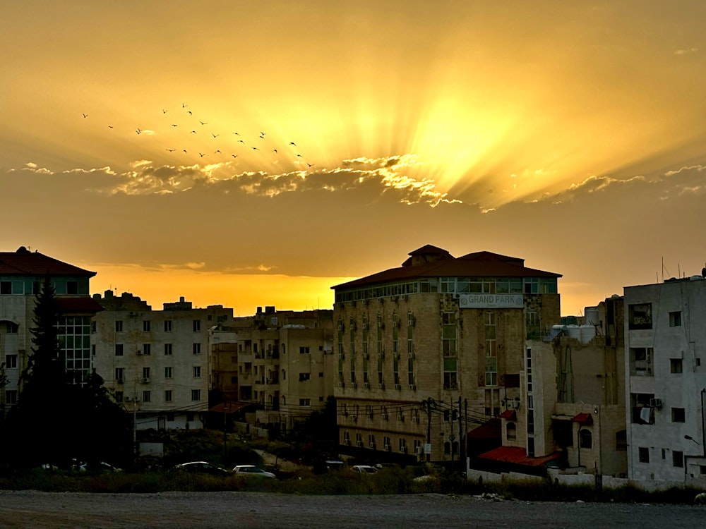 Il sole sta tramontando su una città con uccelli che volano nel cielo