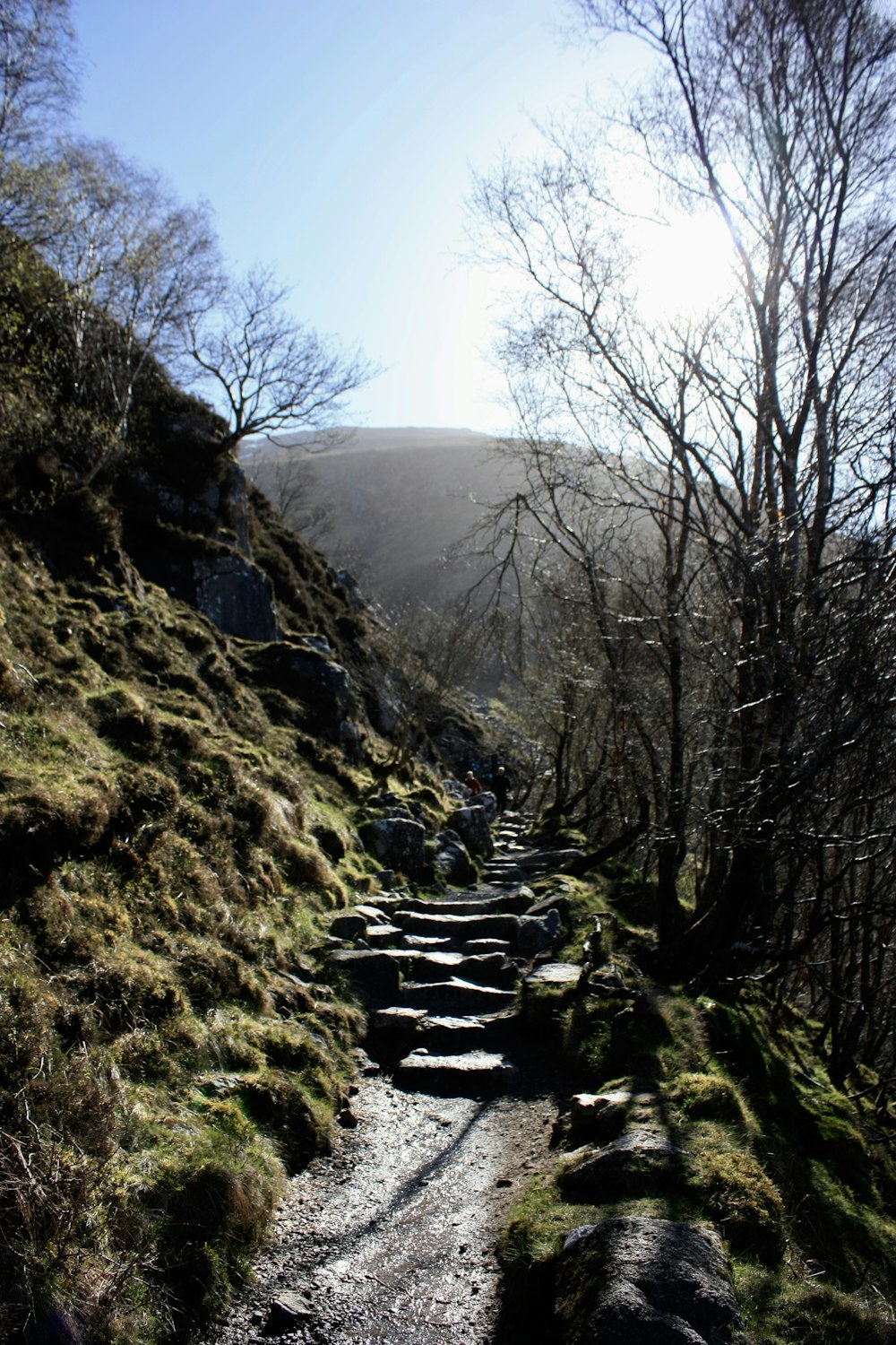 a rocky path with moss growing on the side of it