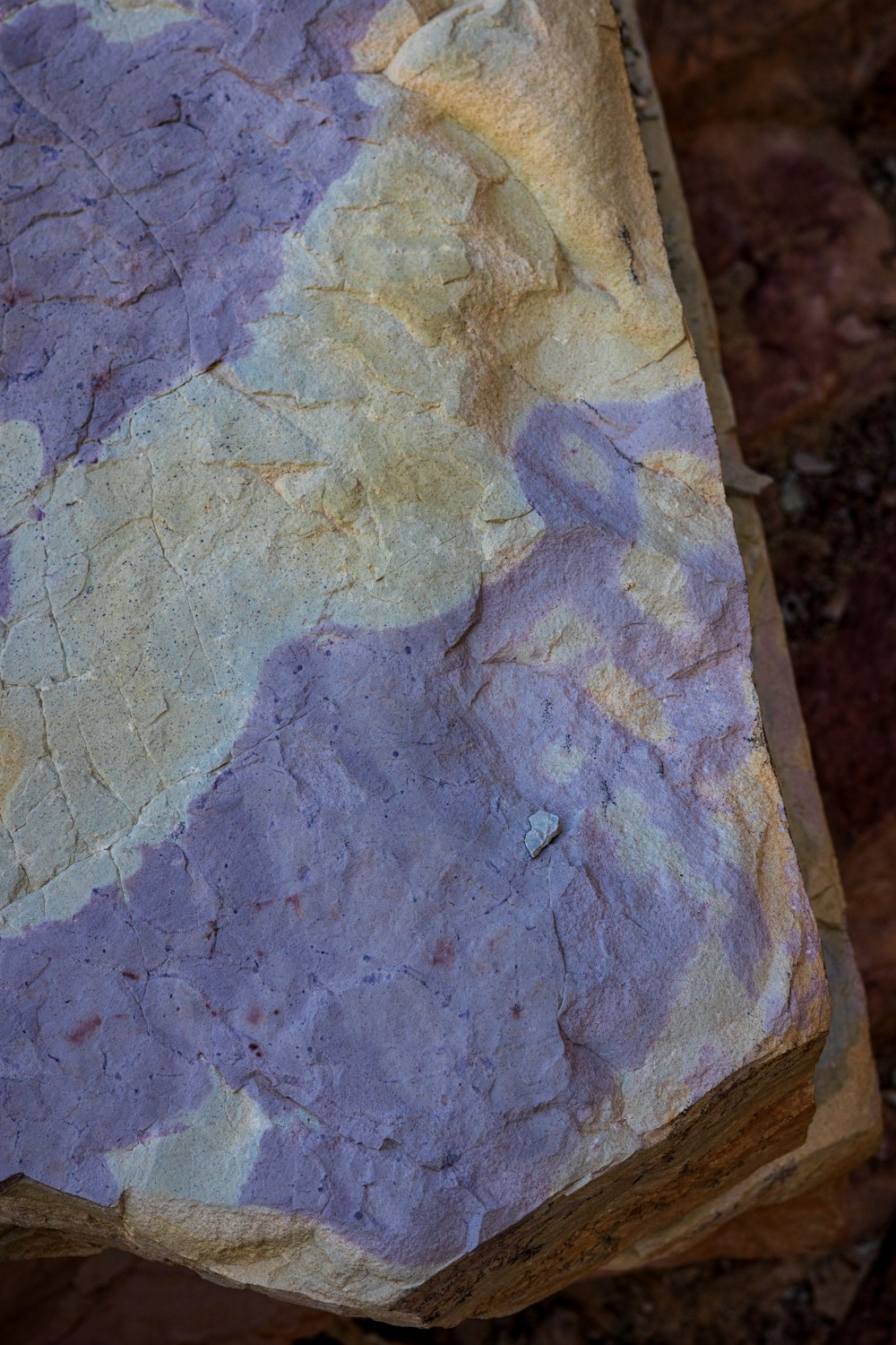 a close up of a piece of paper on a rock