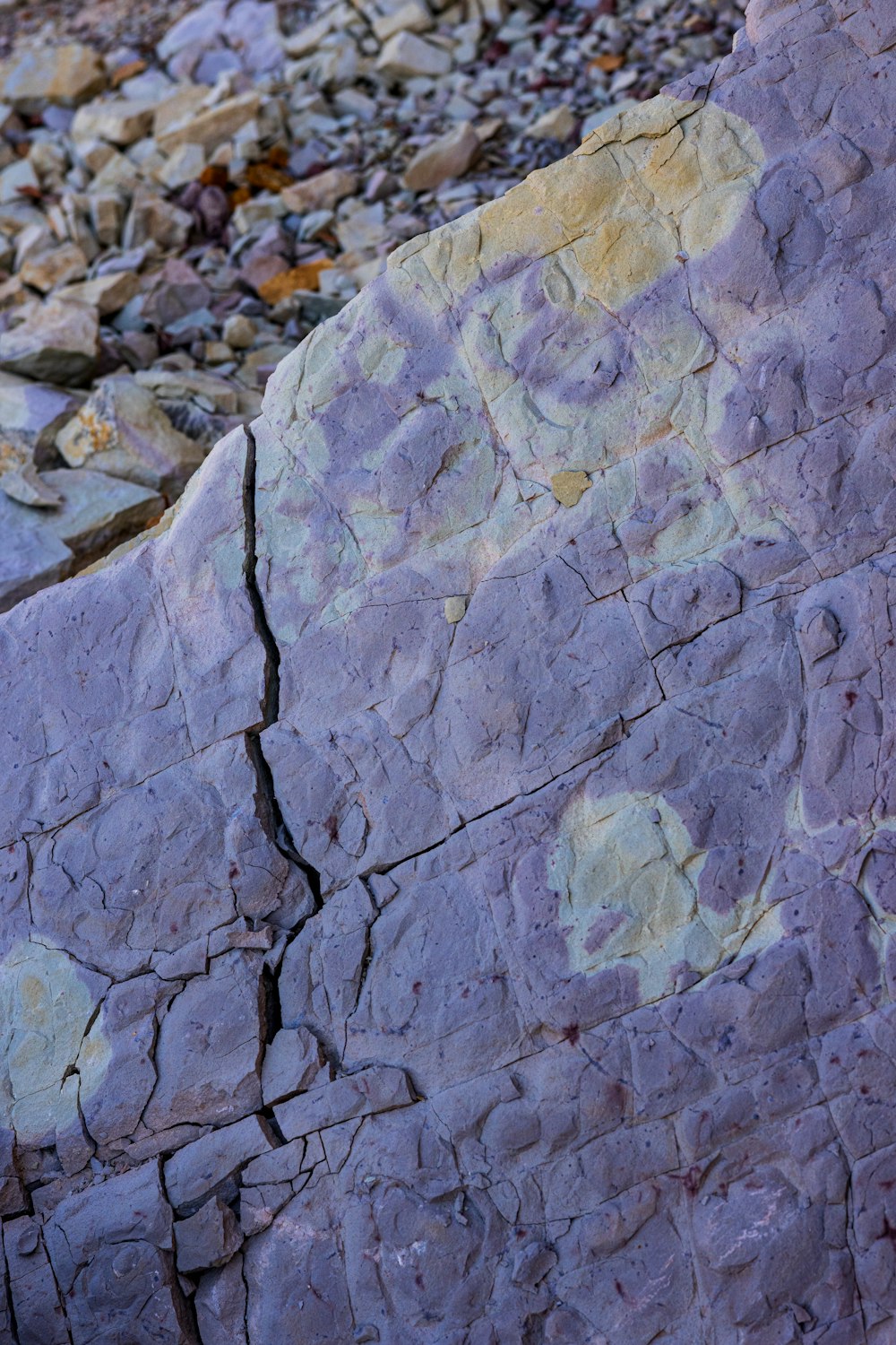 a bird sitting on top of a rock next to a pile of rocks