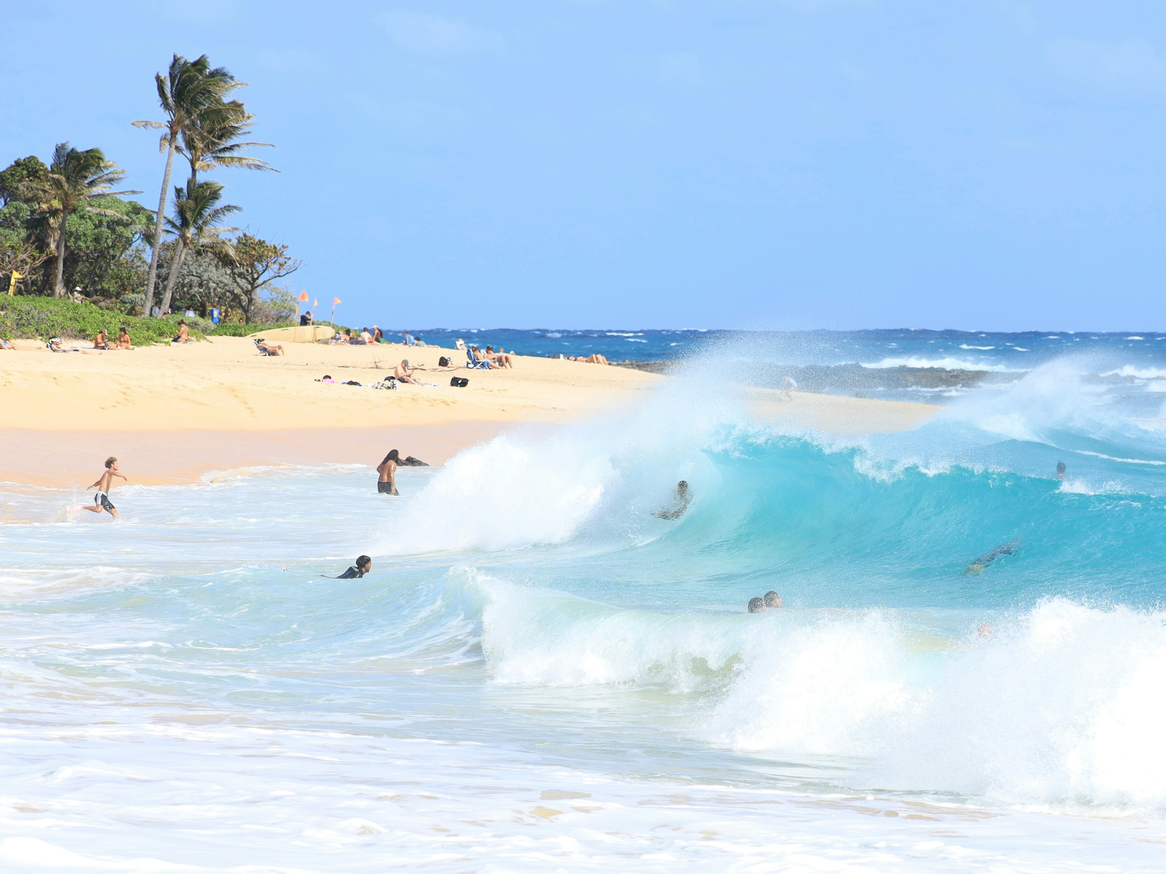 Photo by steve_moonrocket