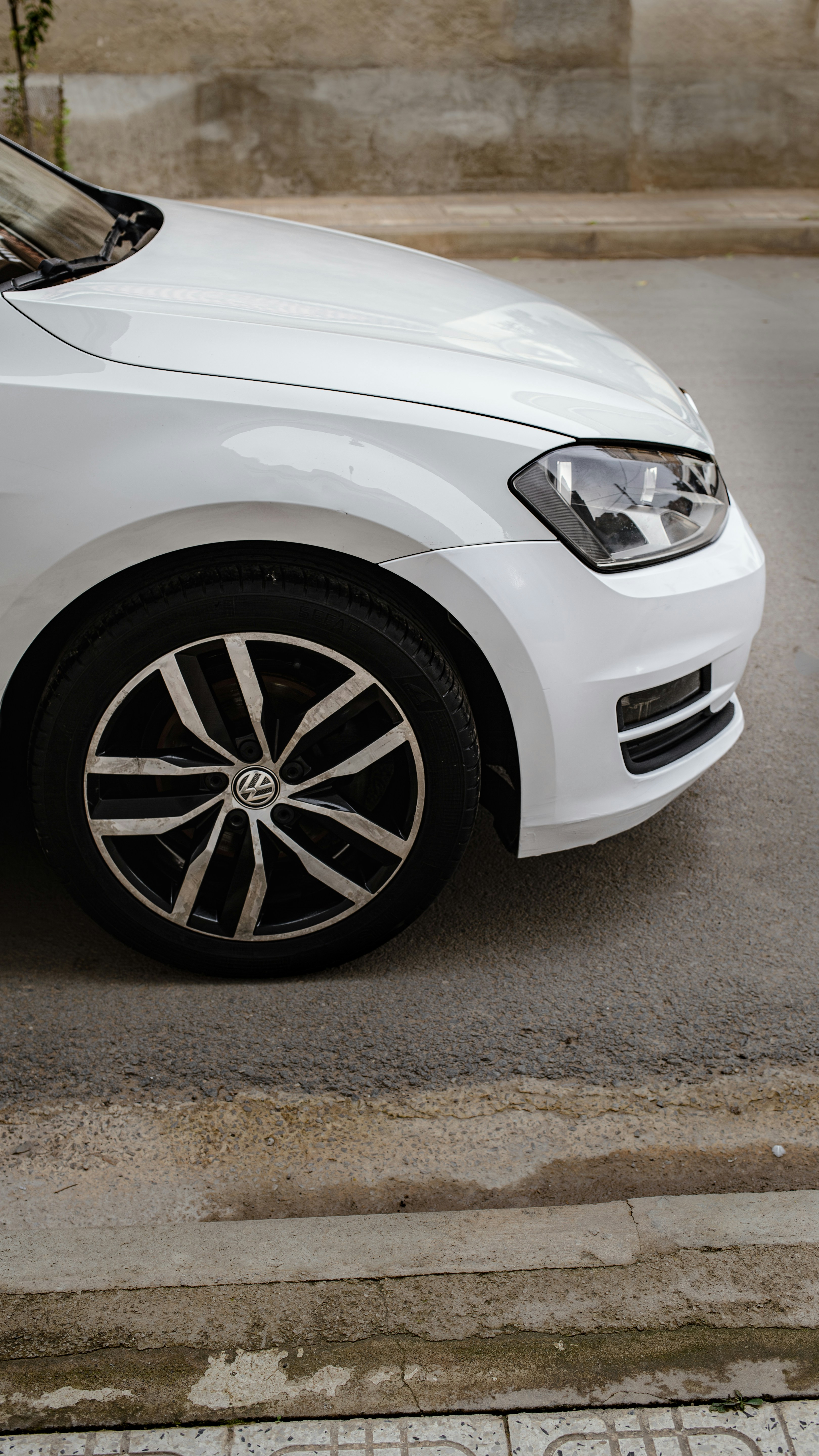 Photo by alpha_photographer