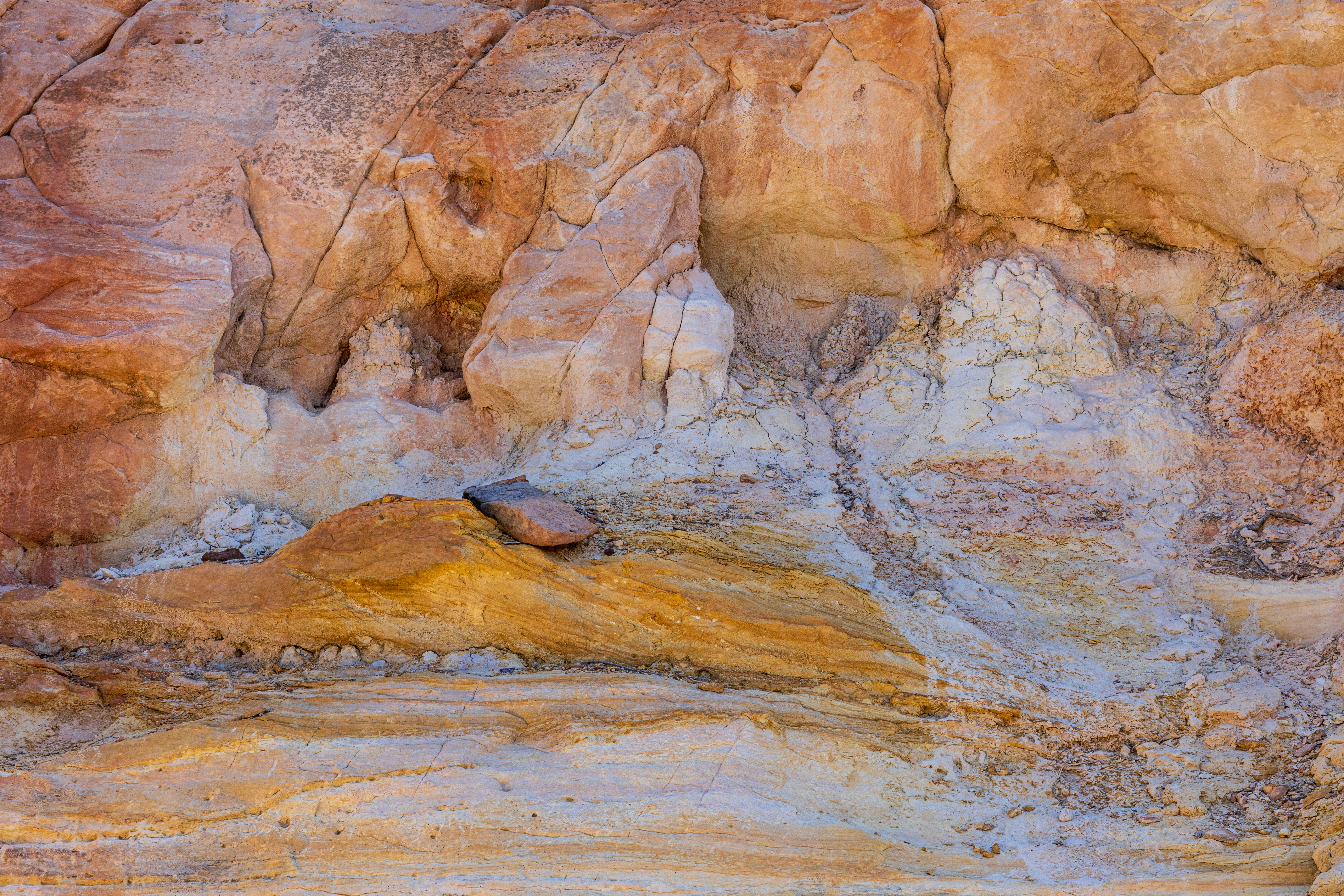 Photo by brandonstoll