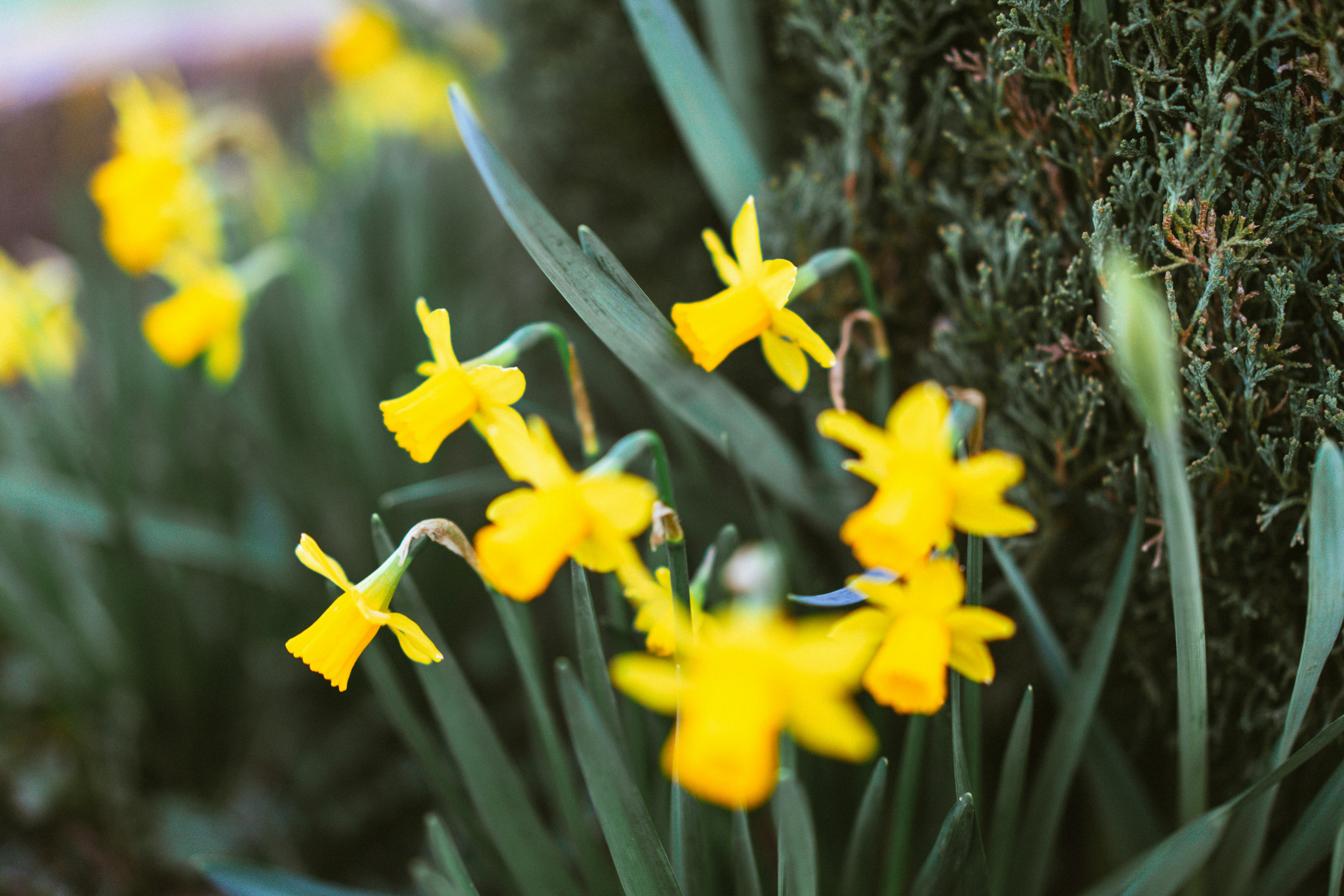 Photo by francescafrann