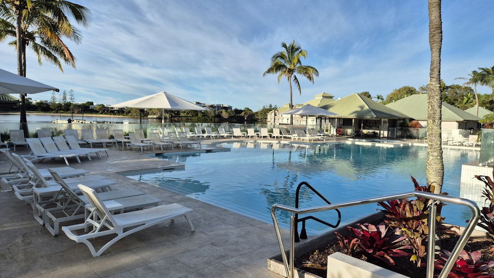 a large swimming pool surrounded by lounge chairs and palm trees