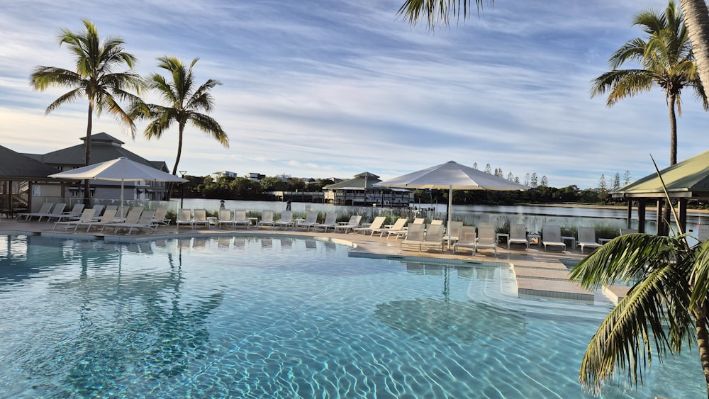 a large swimming pool surrounded by palm trees