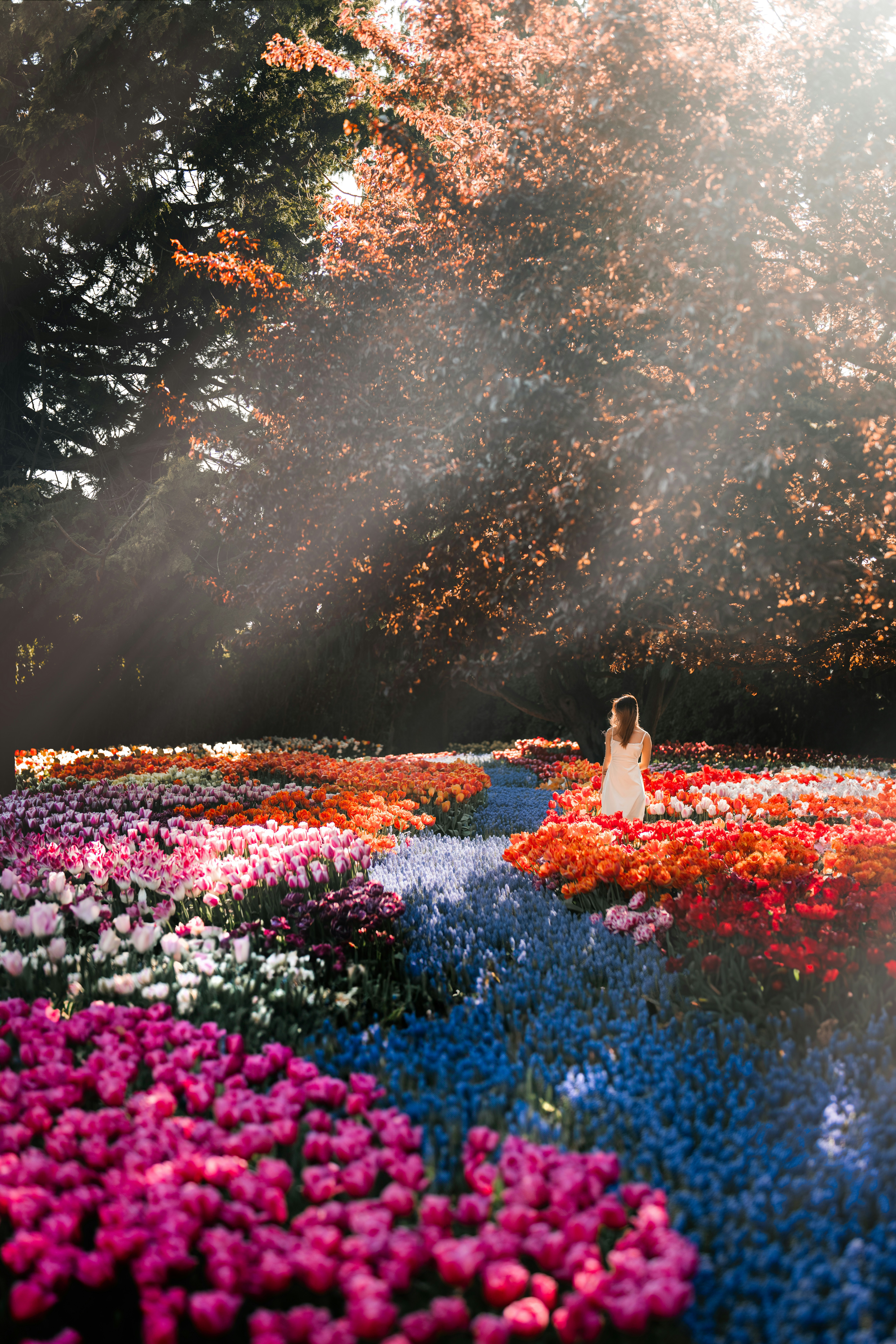 a woman is sitting in a field of flowers