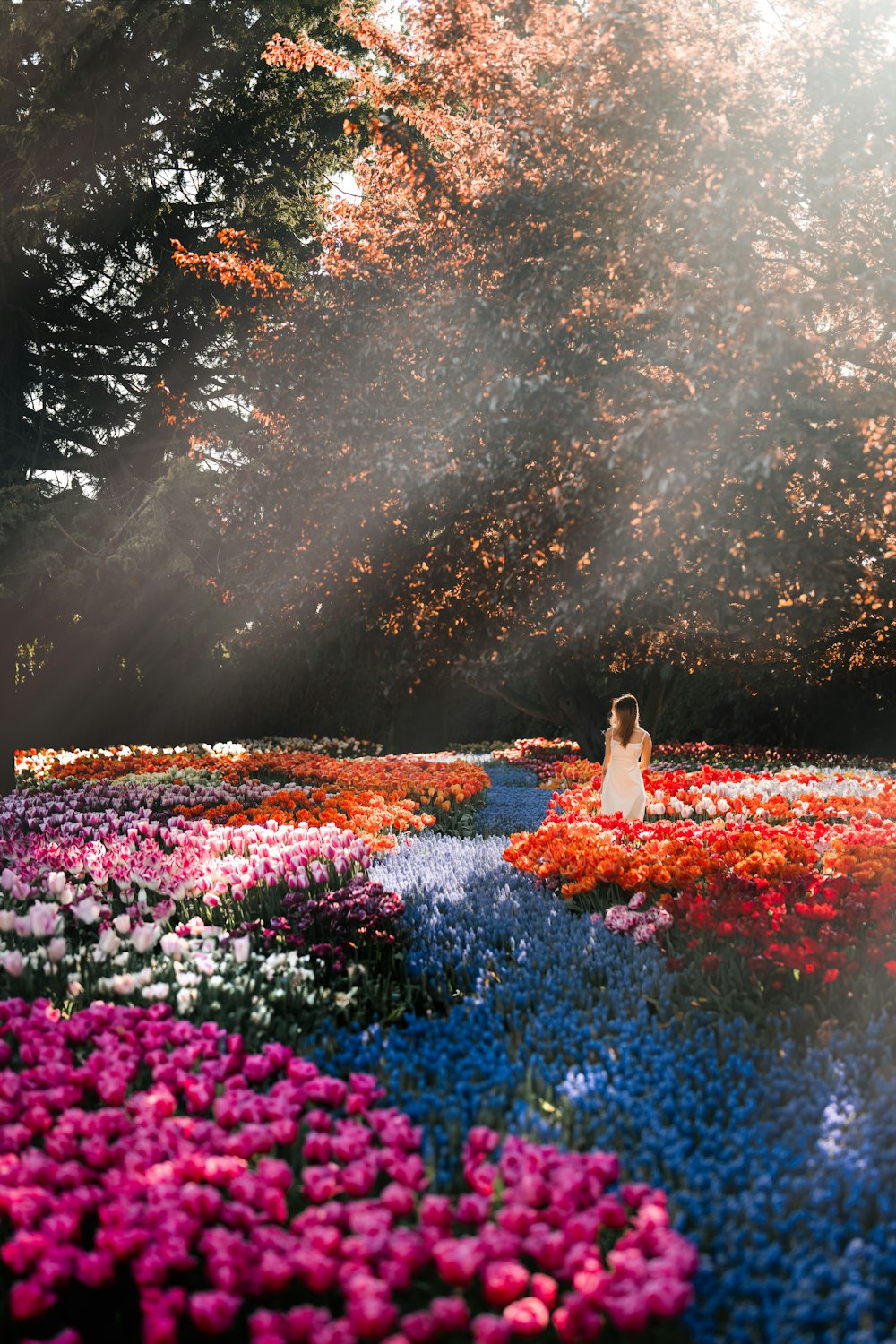 a woman is sitting in a field of flowers