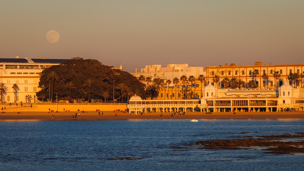 a view of a beach from across the water