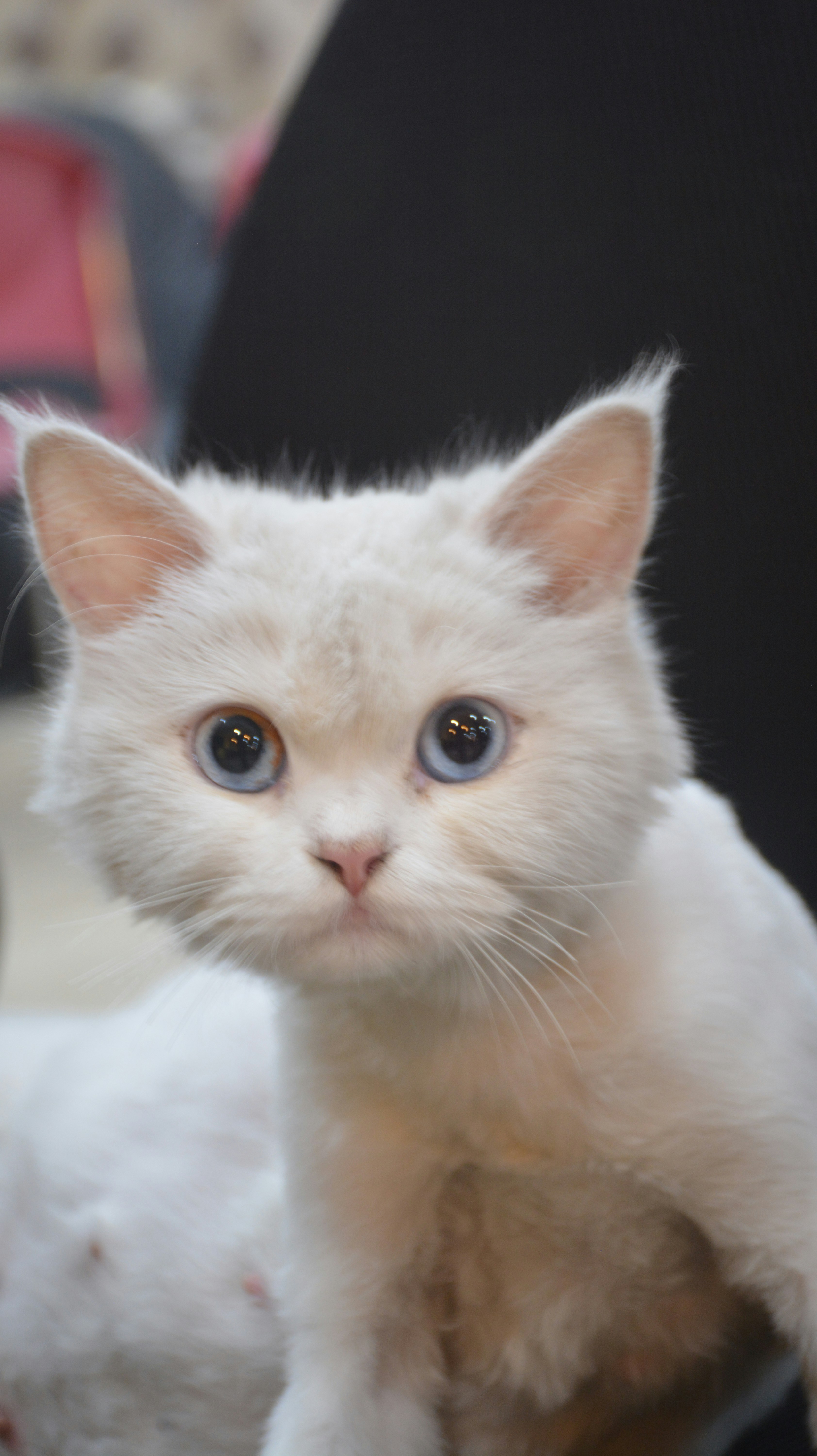 Photo by abdullah_rv1