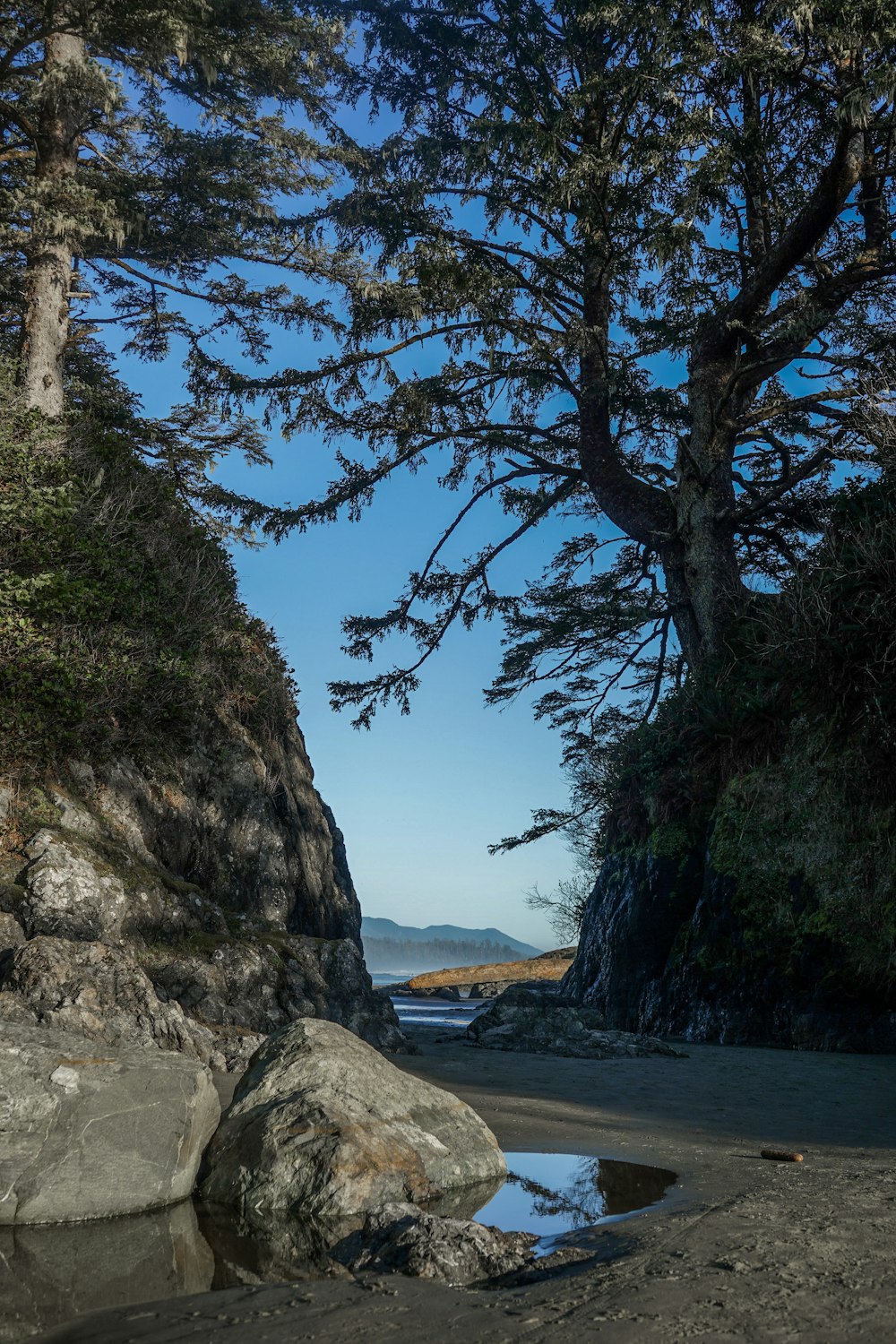 a large rock sitting on top of a beach next to a tree