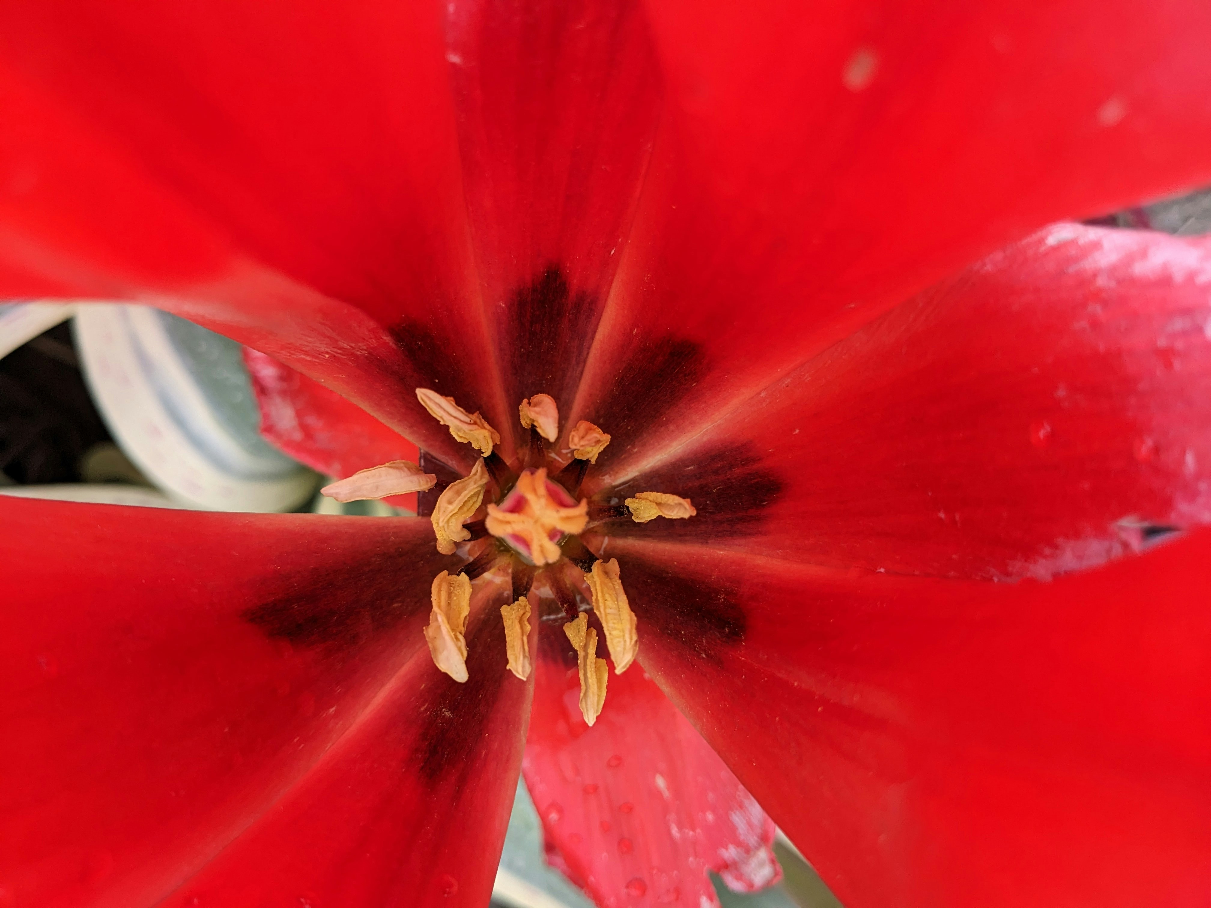 Photo by capture_joy