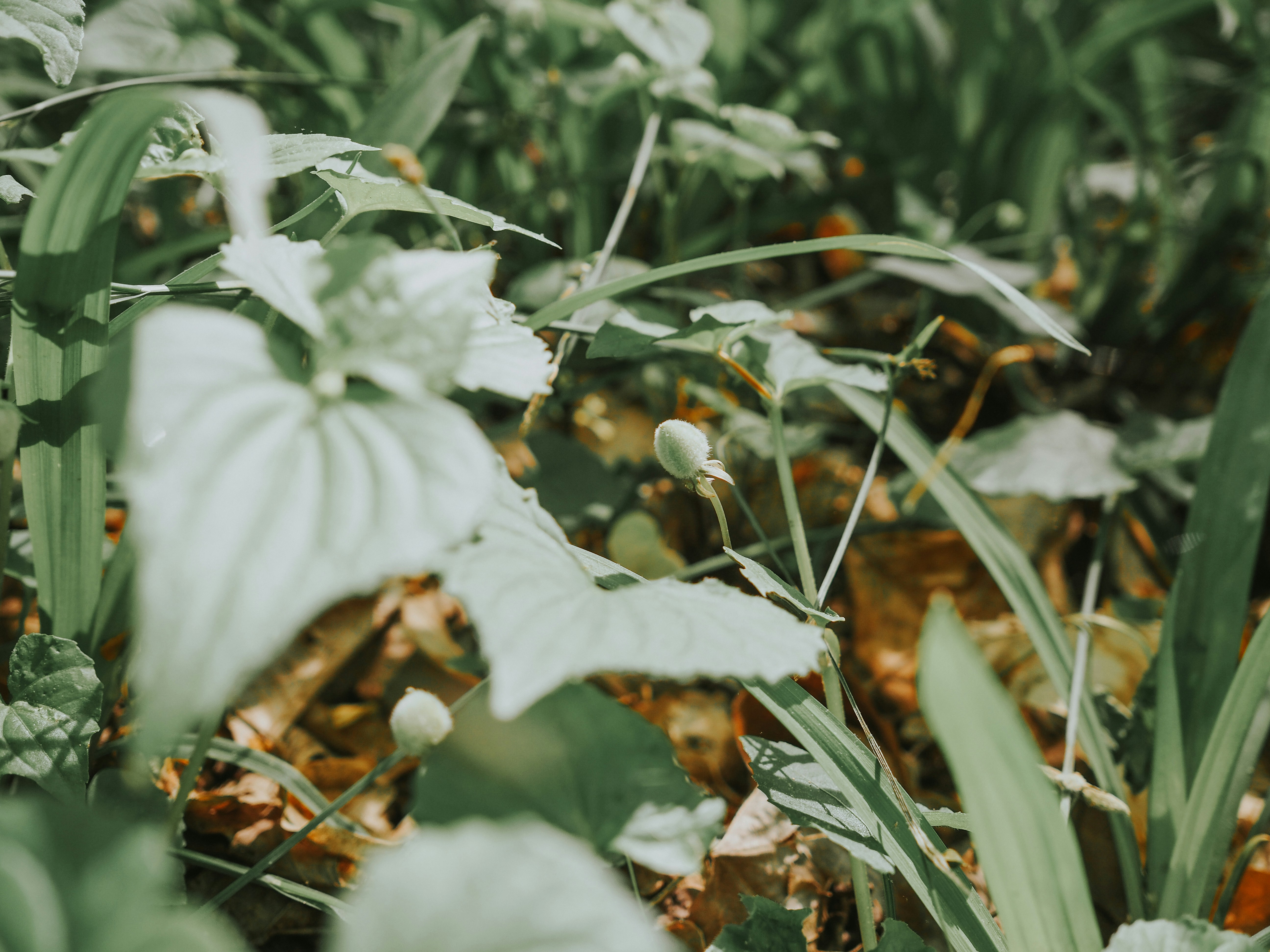 Photo by fieldworkframes