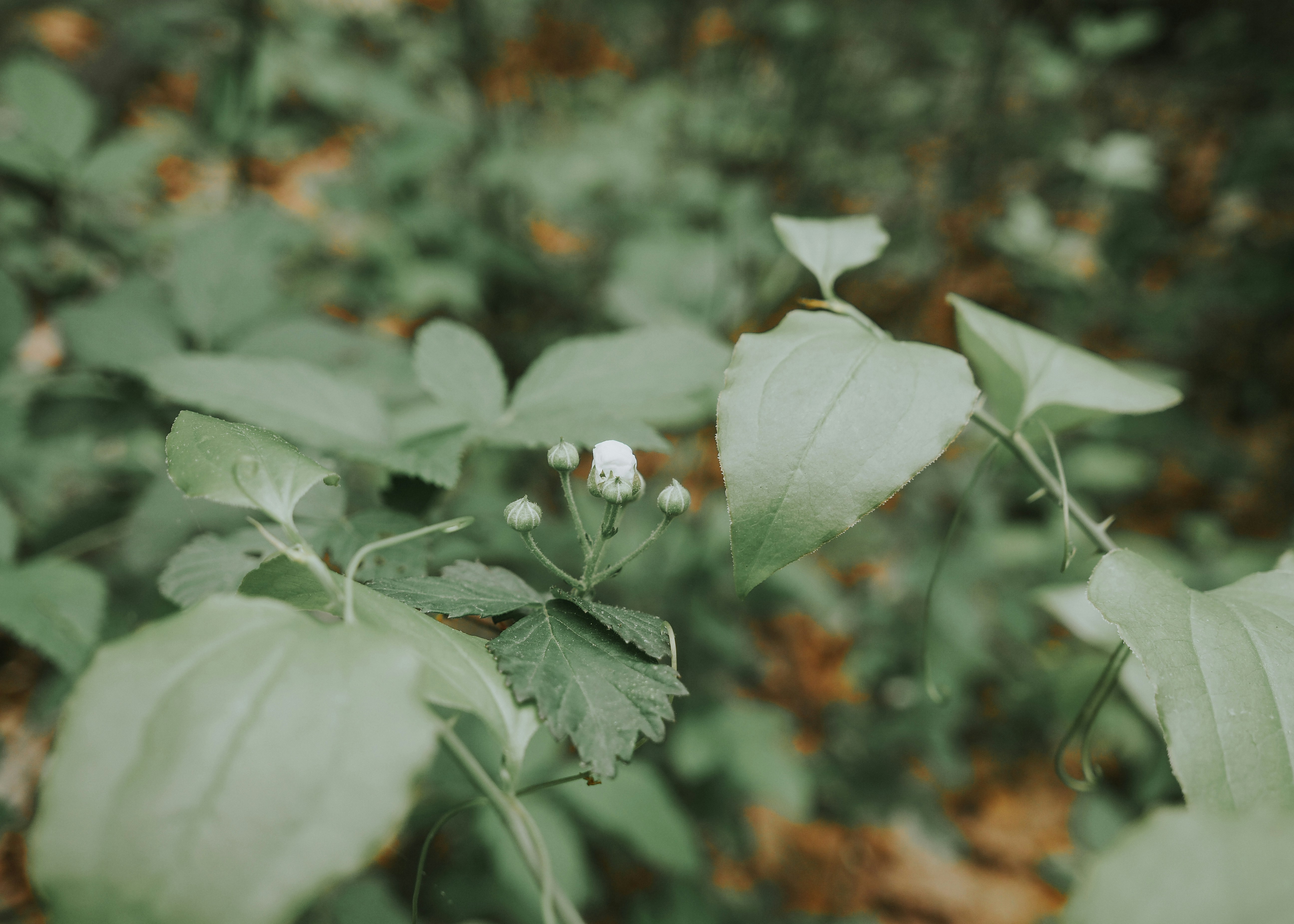 Photo by fieldworkframes
