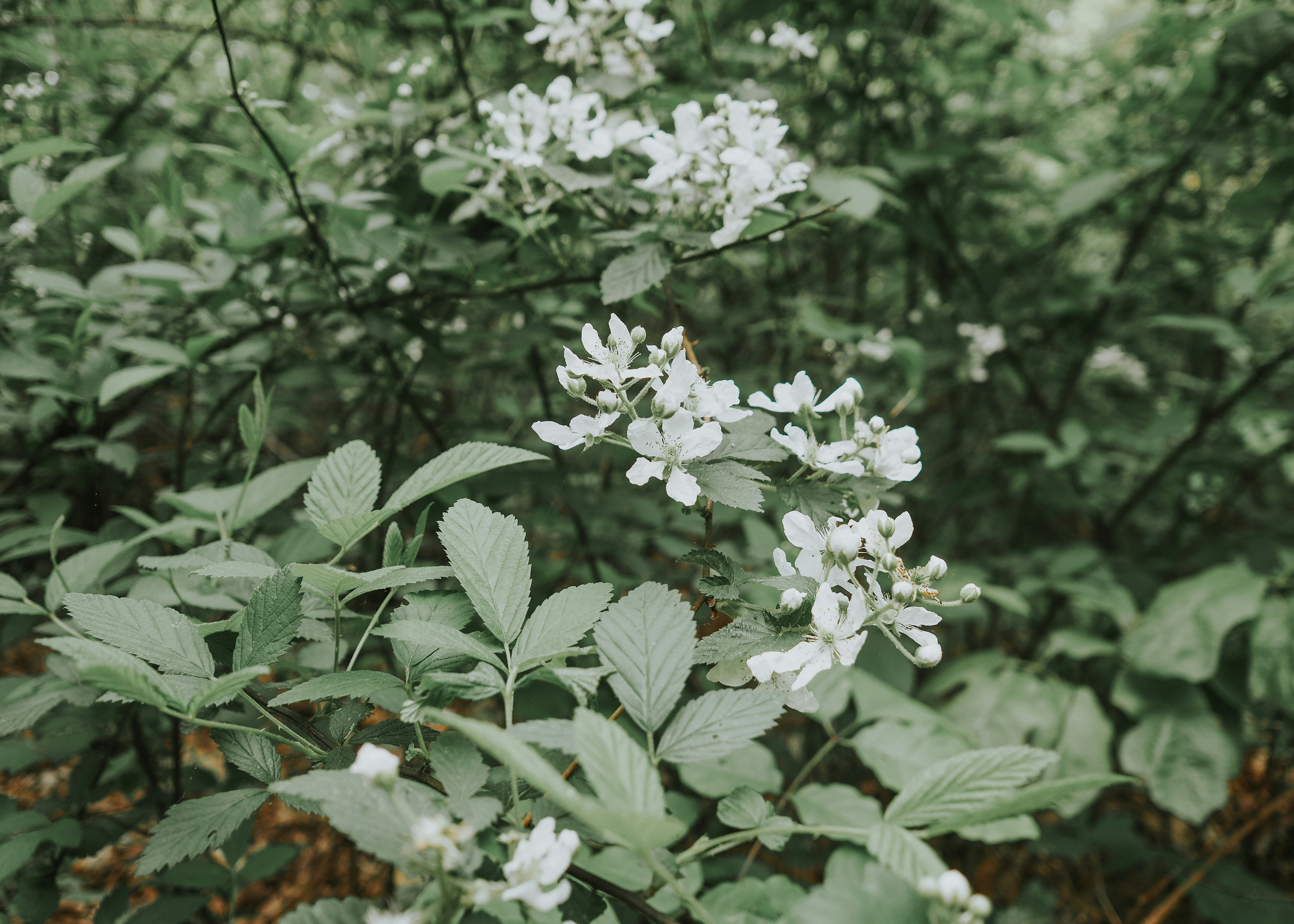 Photo by fieldworkframes