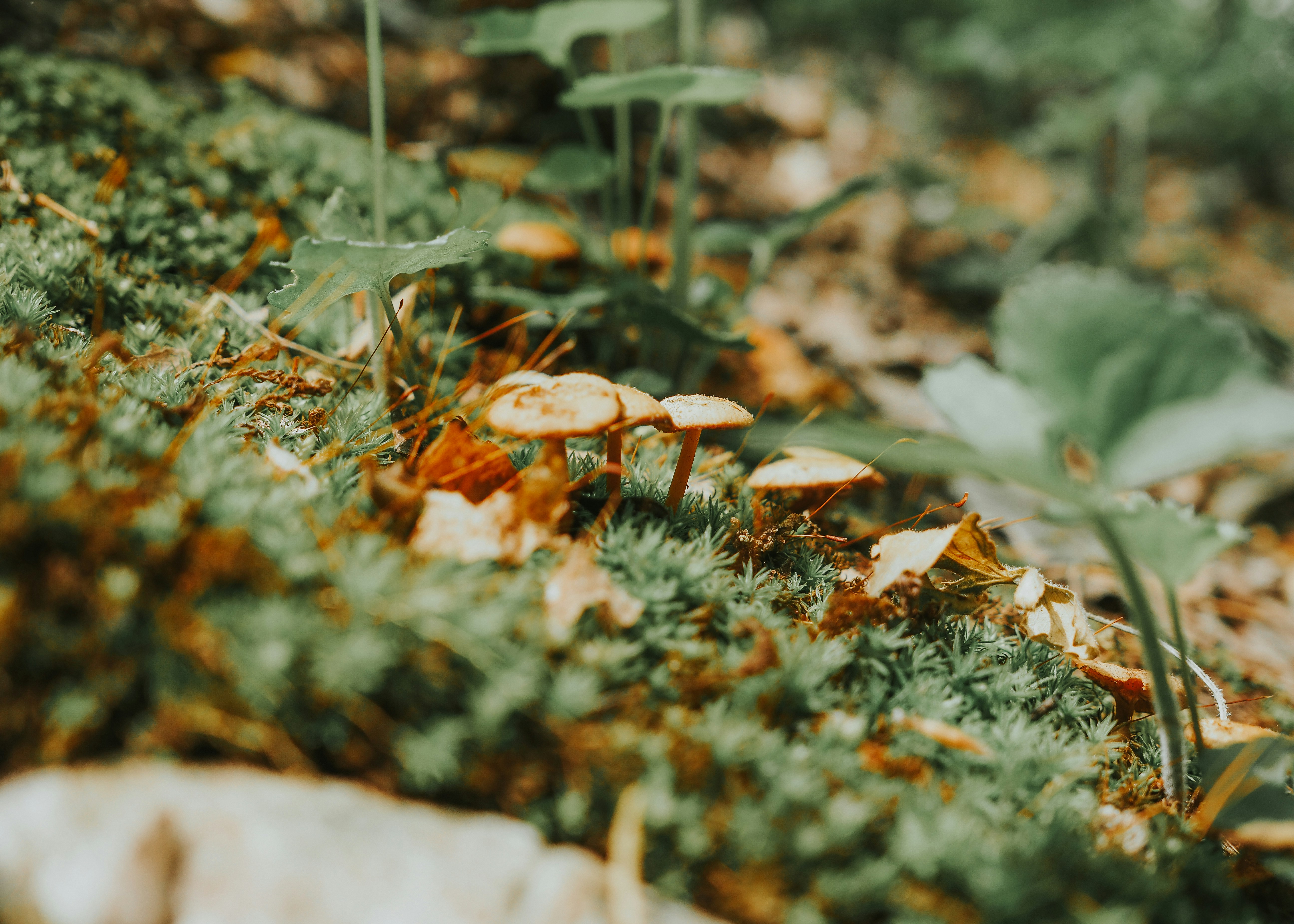 Photo by fieldworkframes