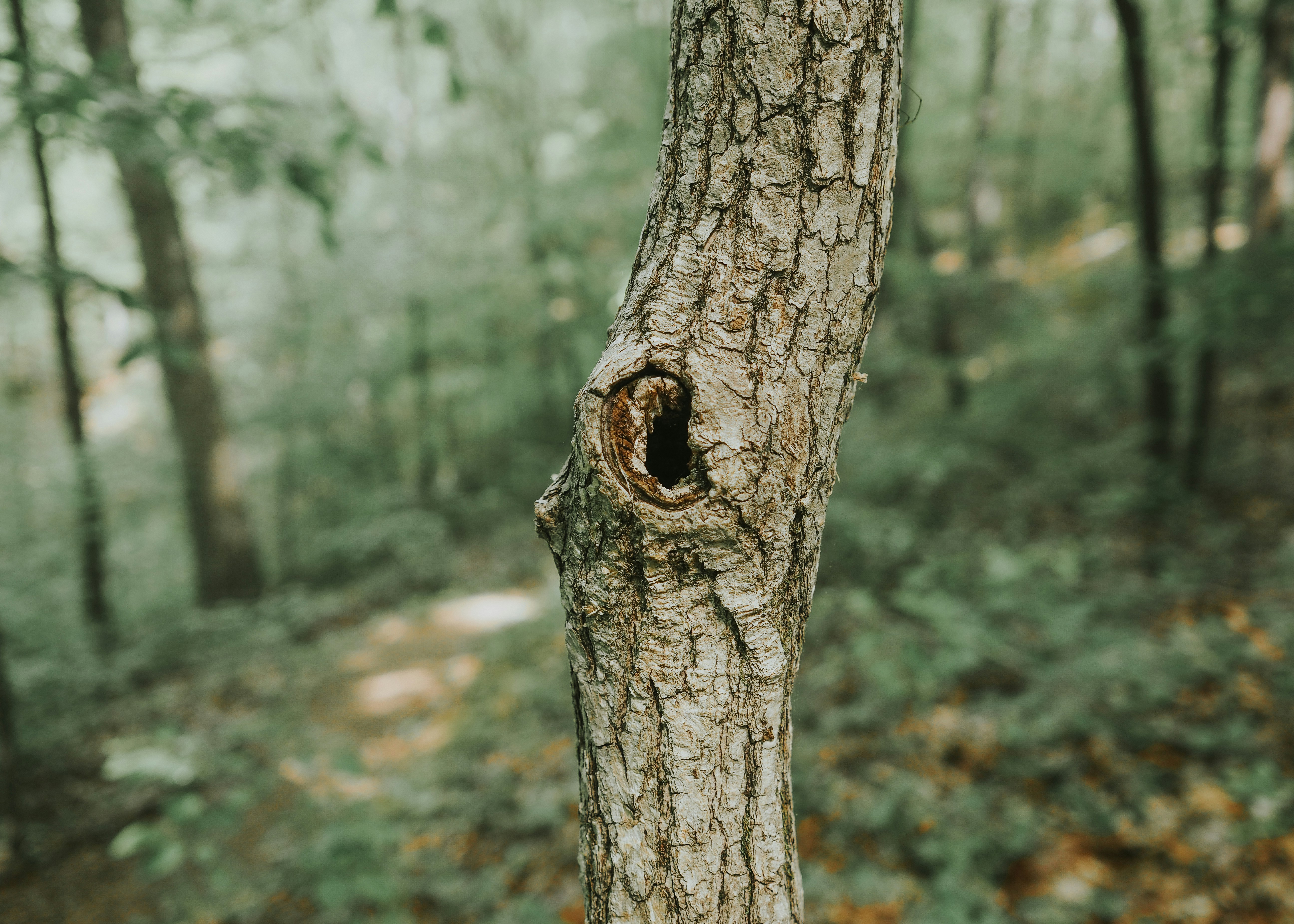 Photo by fieldworkframes