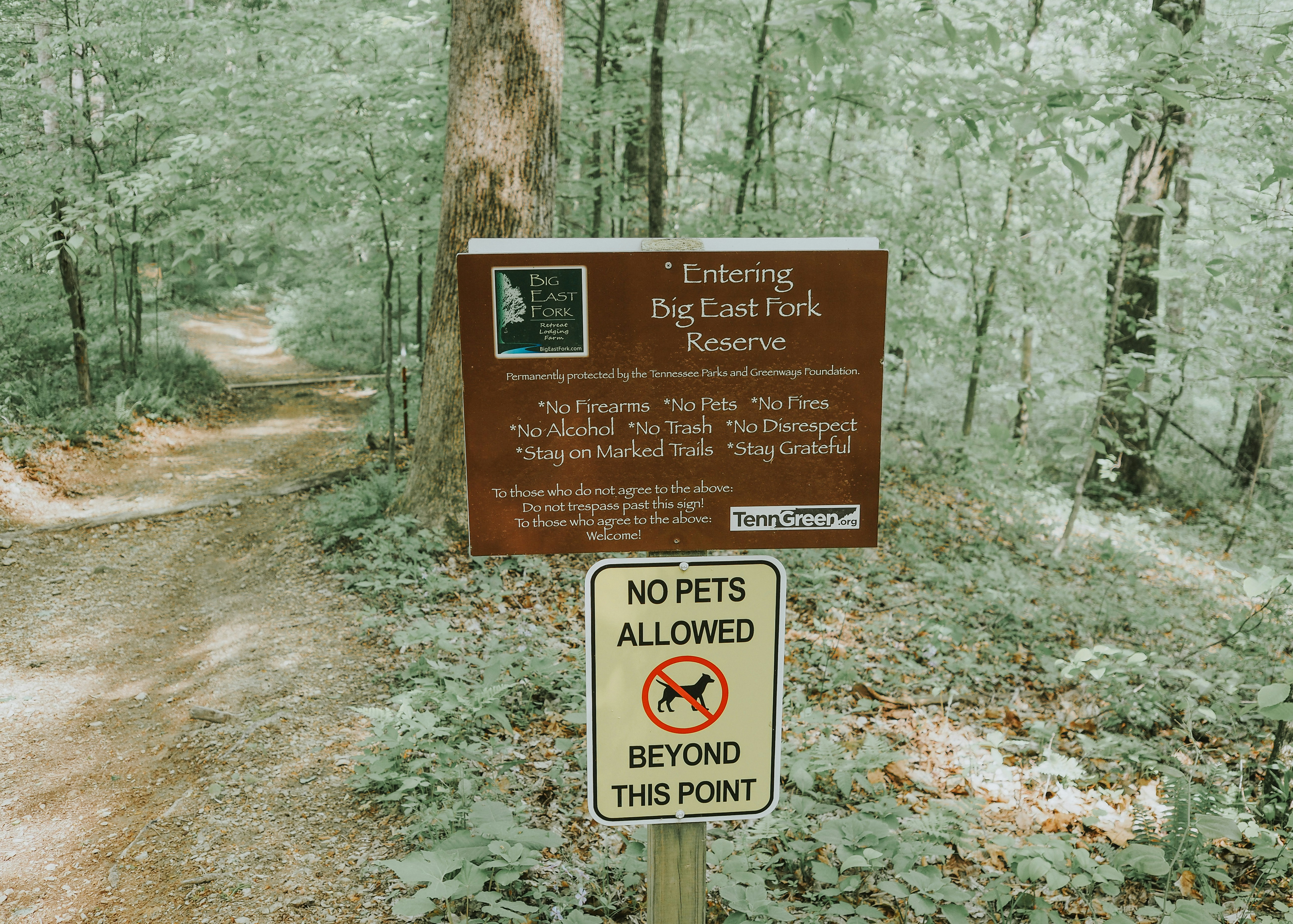 Photo by fieldworkframes