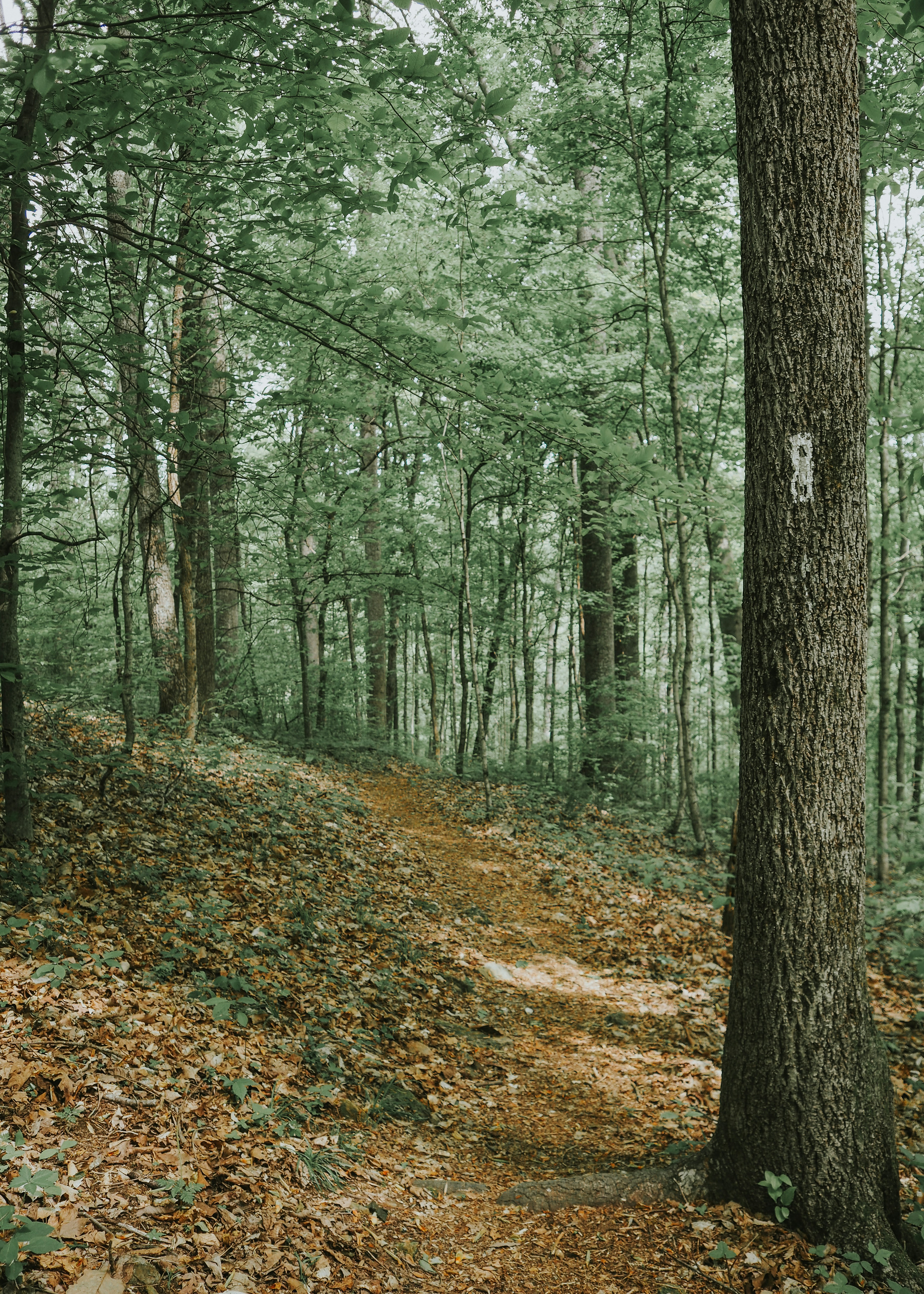 Photo by fieldworkframes