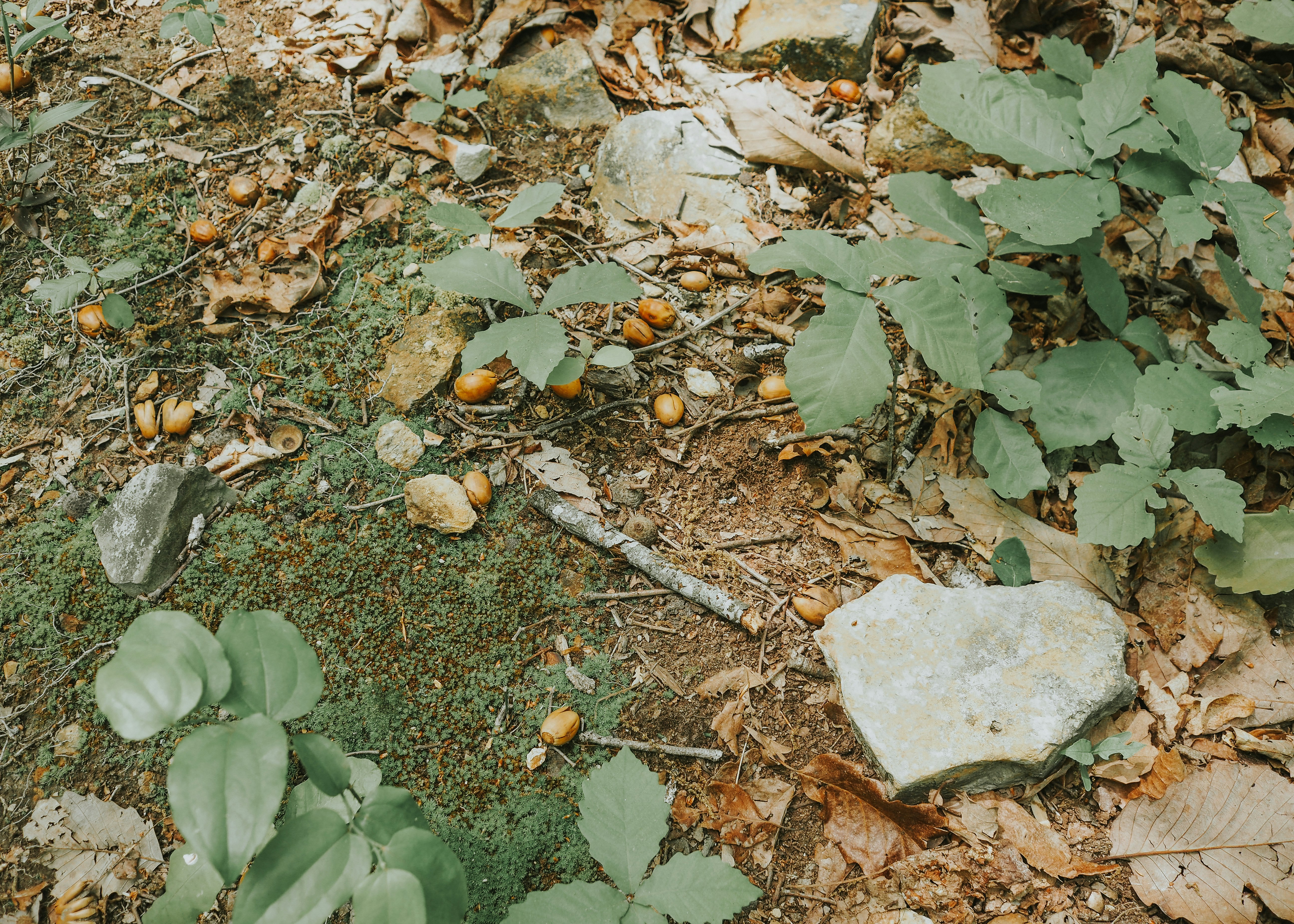 Photo by fieldworkframes