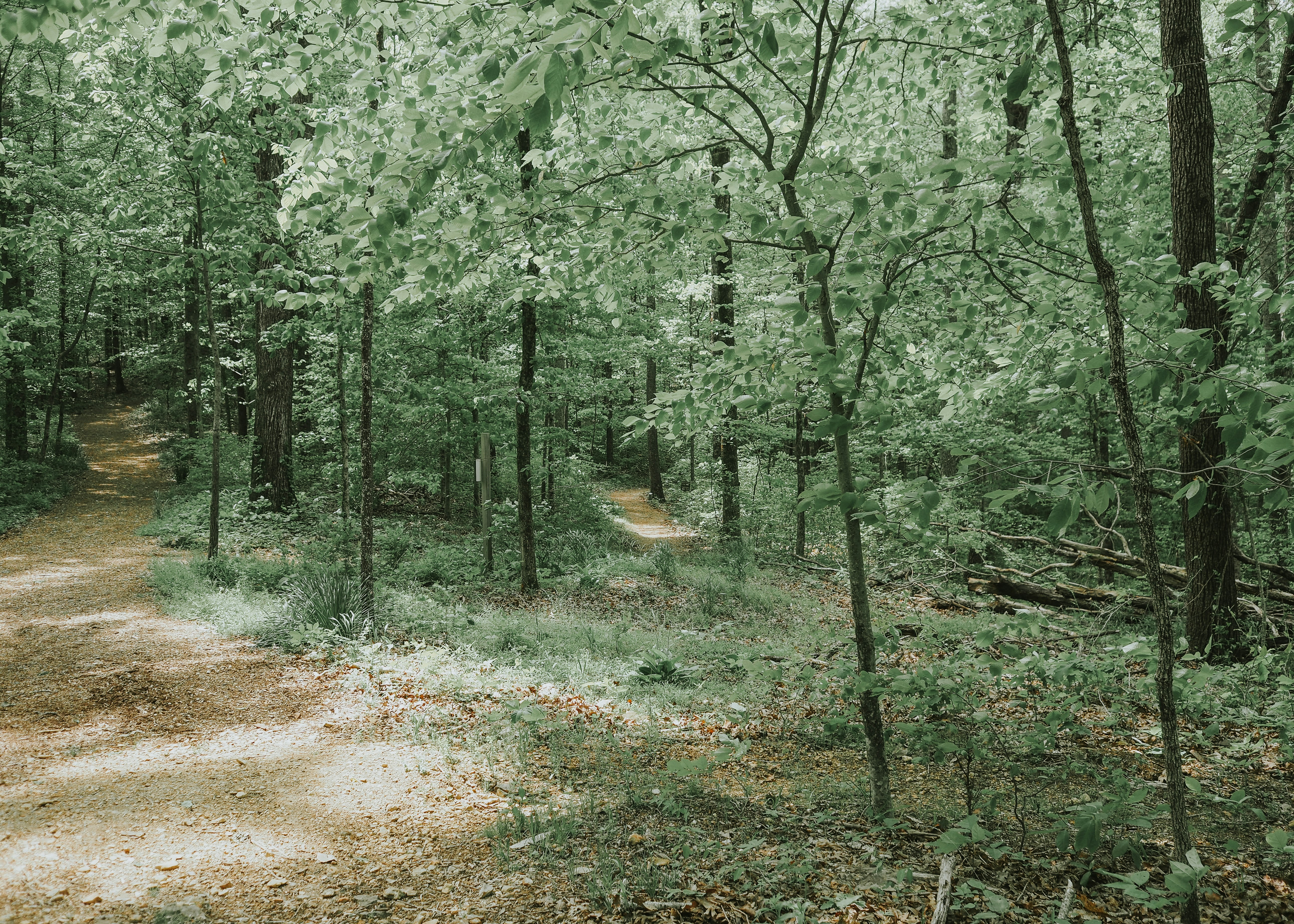 Photo by fieldworkframes