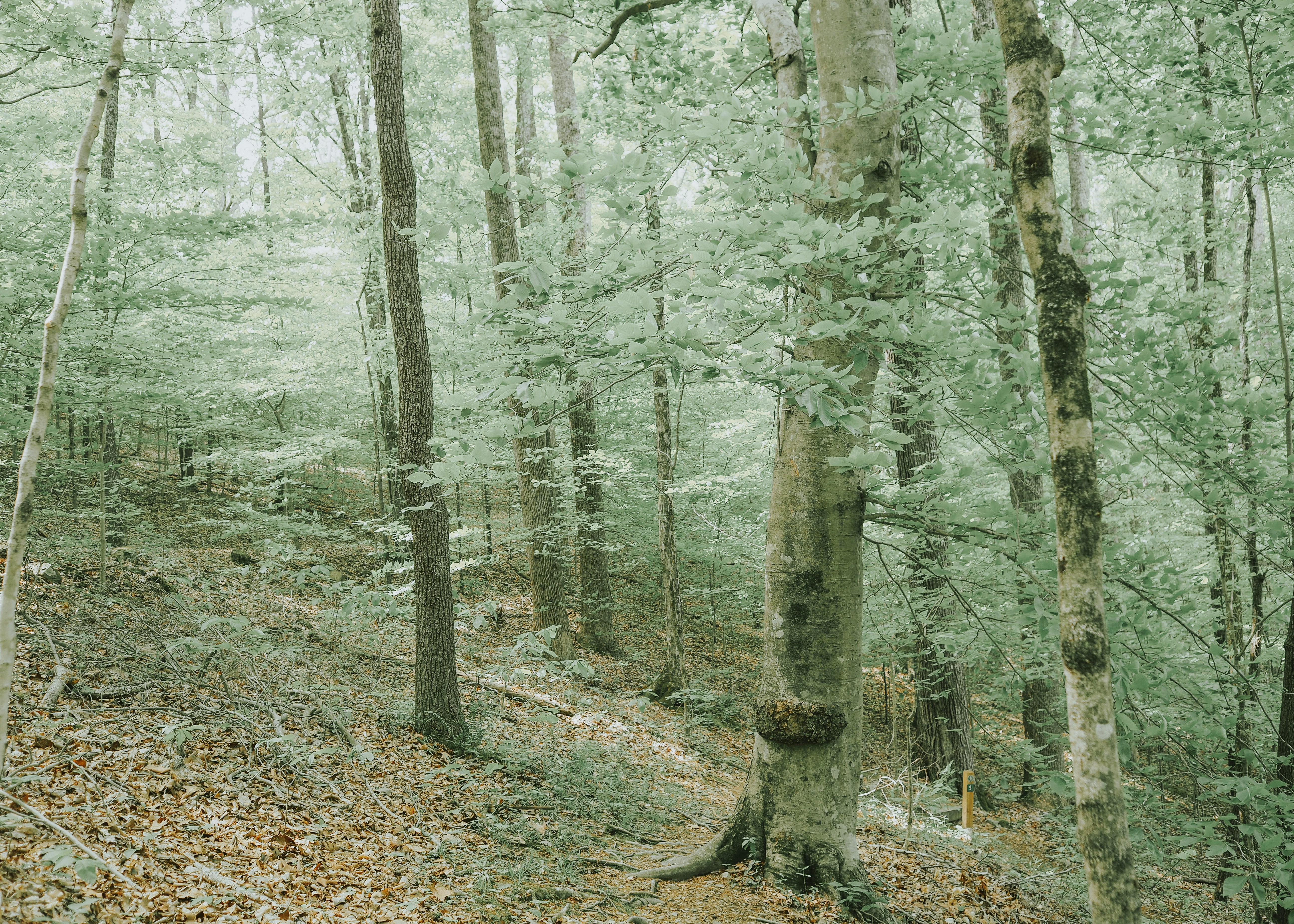 Photo by fieldworkframes