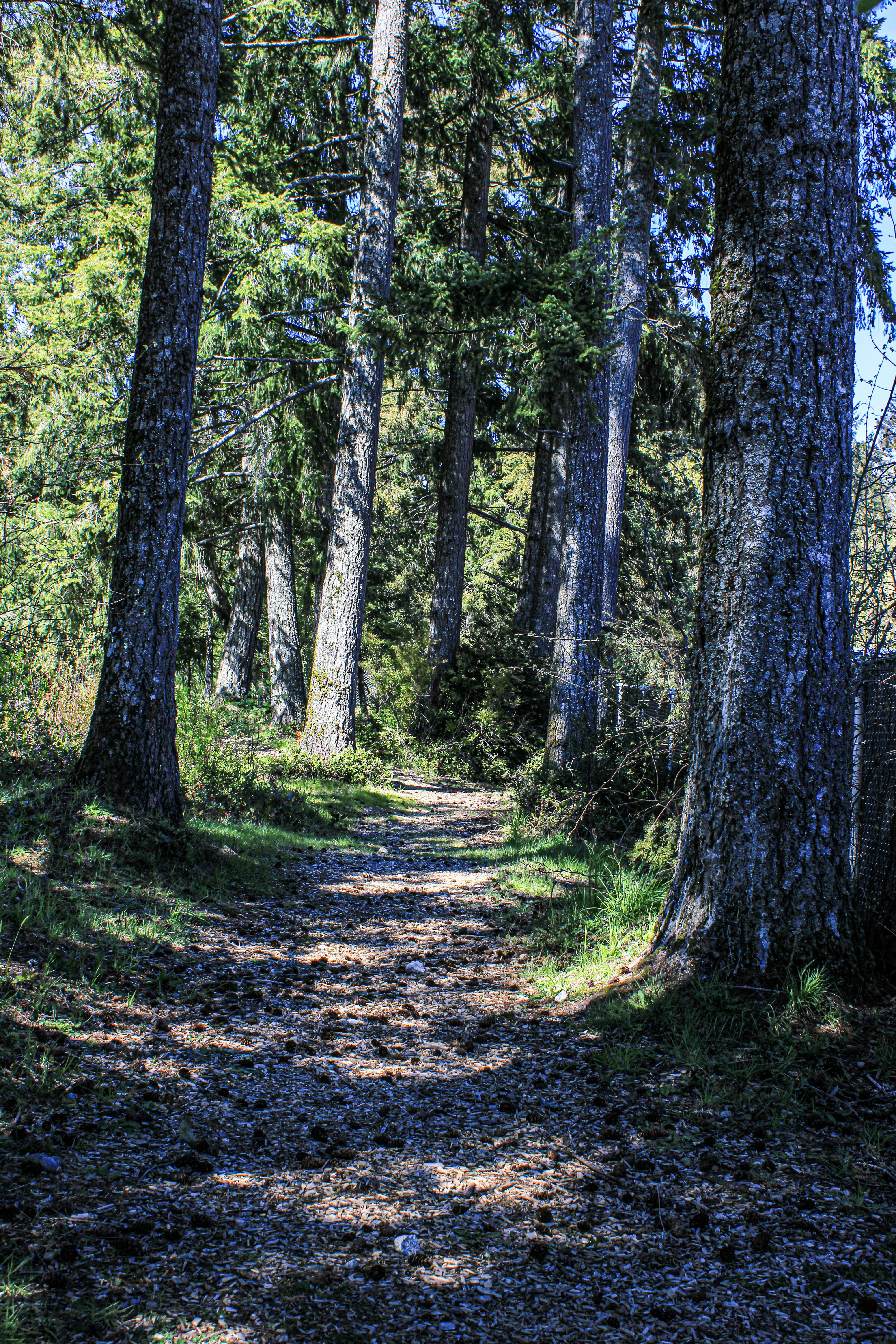 Photo by prphotography262