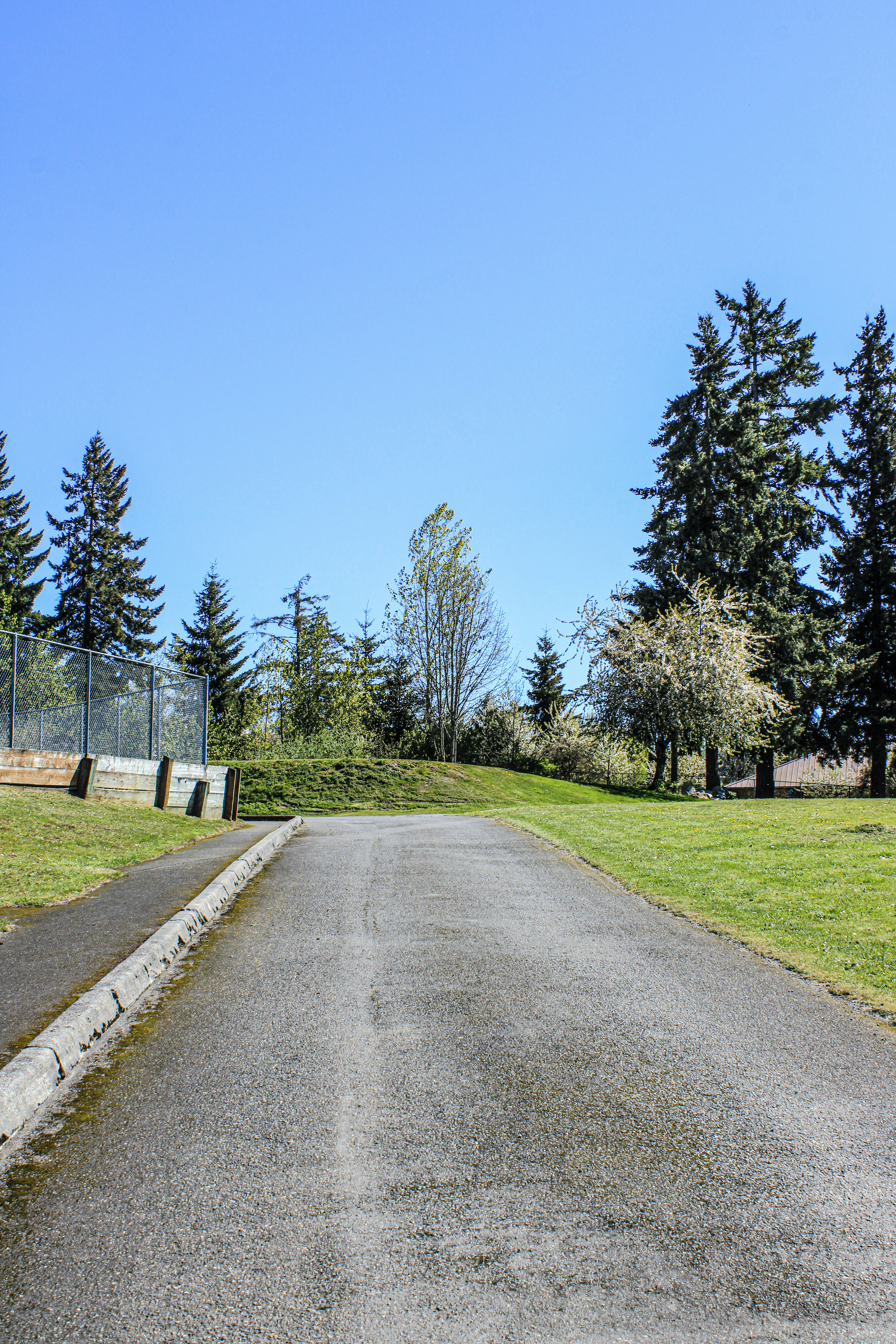 Photo by prphotography262